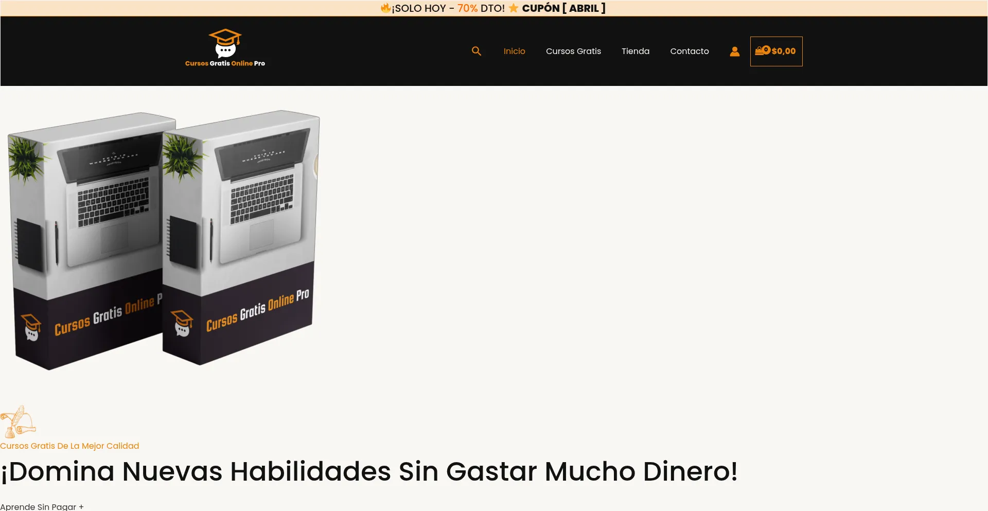 Website screenshot of Cursosgratisonlinepro.com