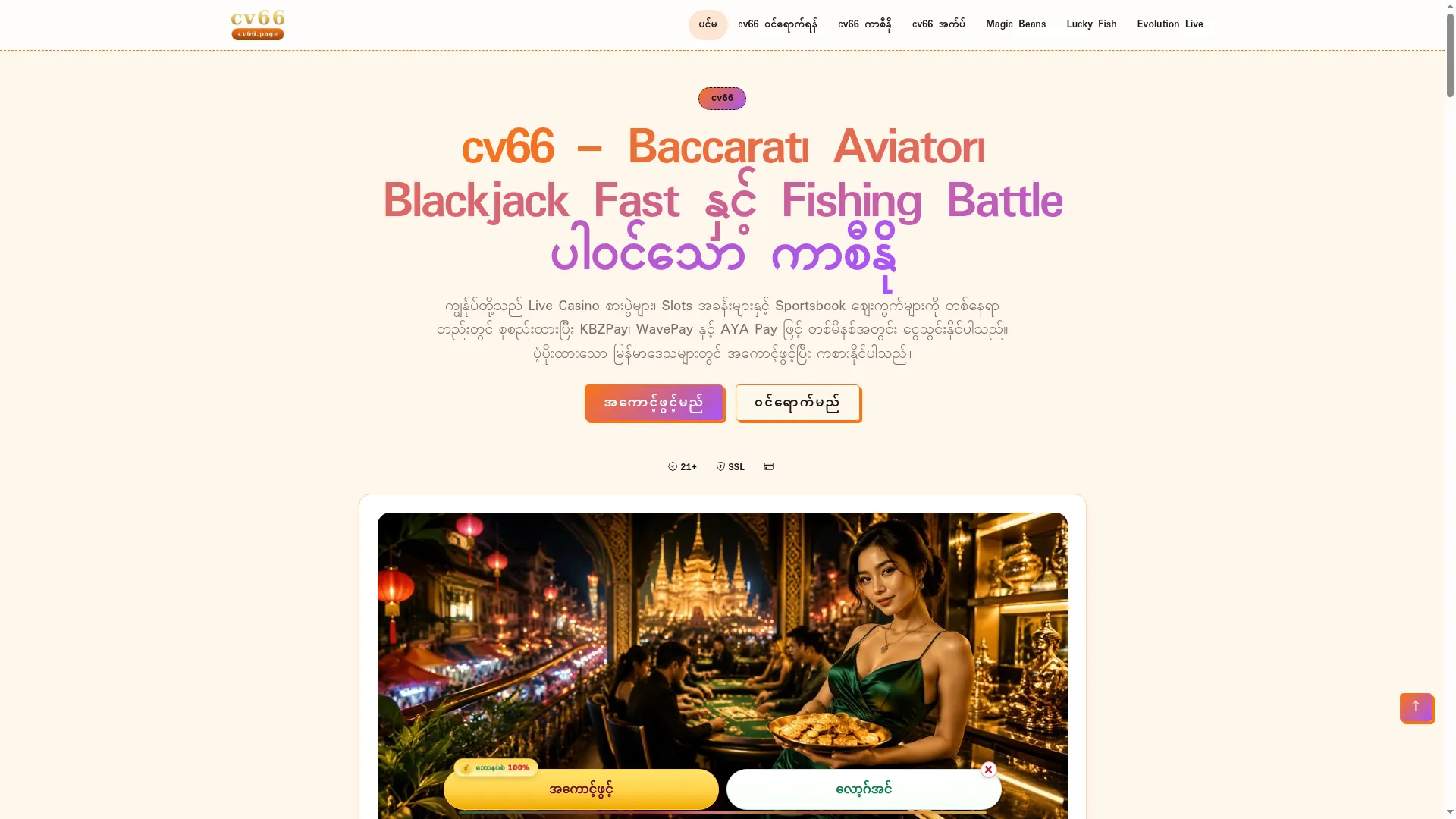 Cv66.page
