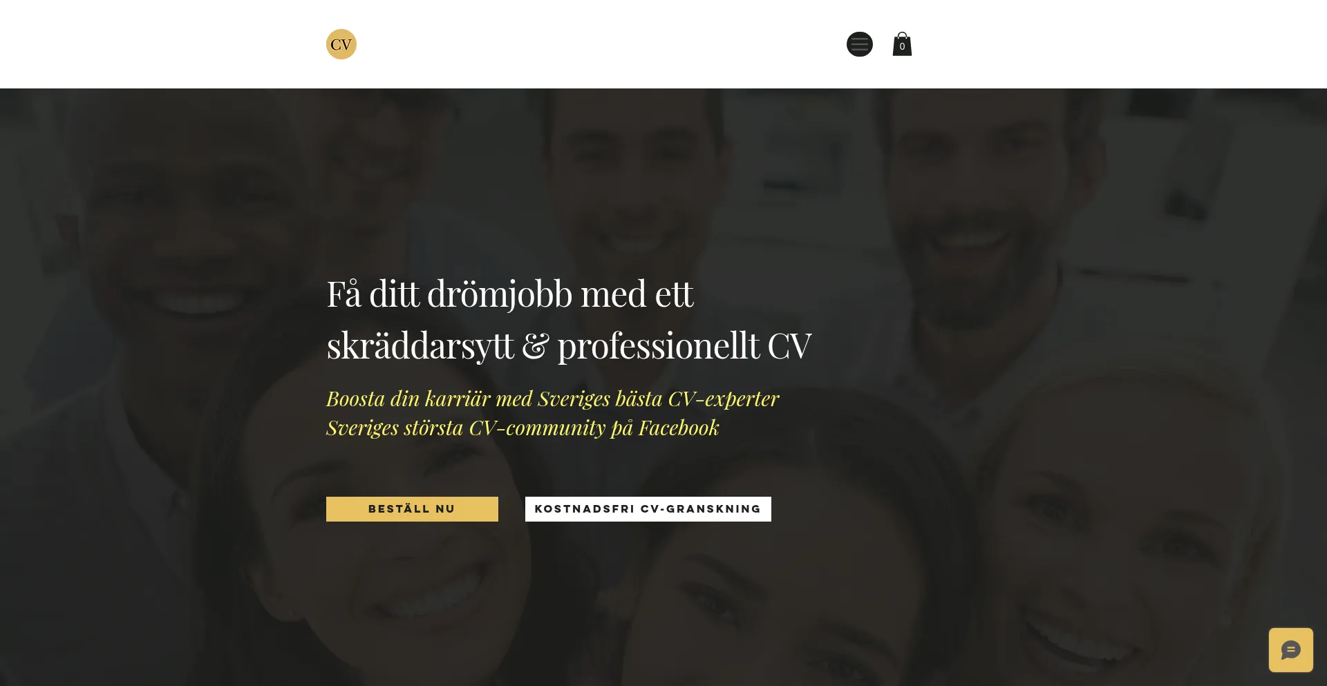 Website screenshot of Cvexperterna.se
