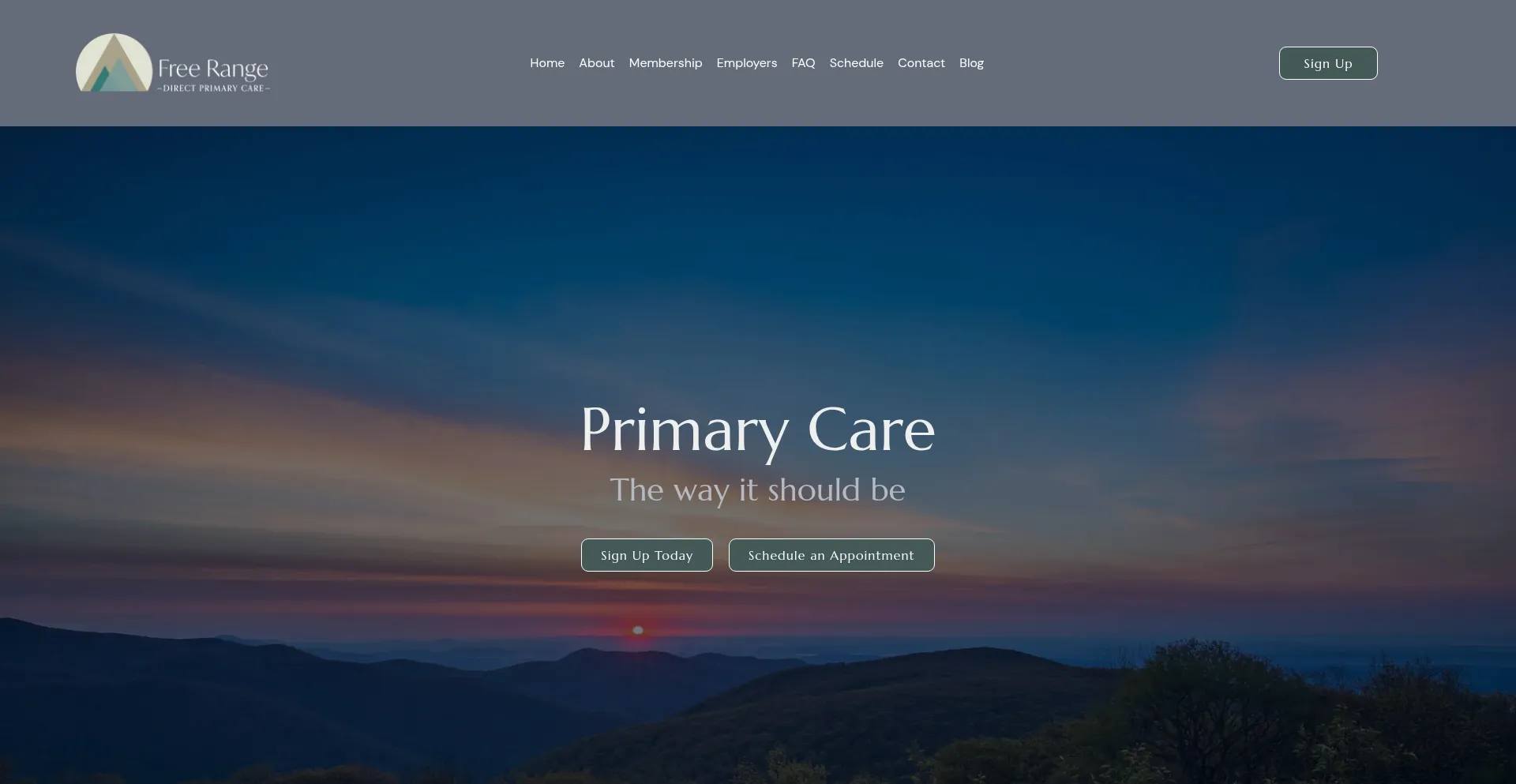 Website screenshot of Cvilledpc.com