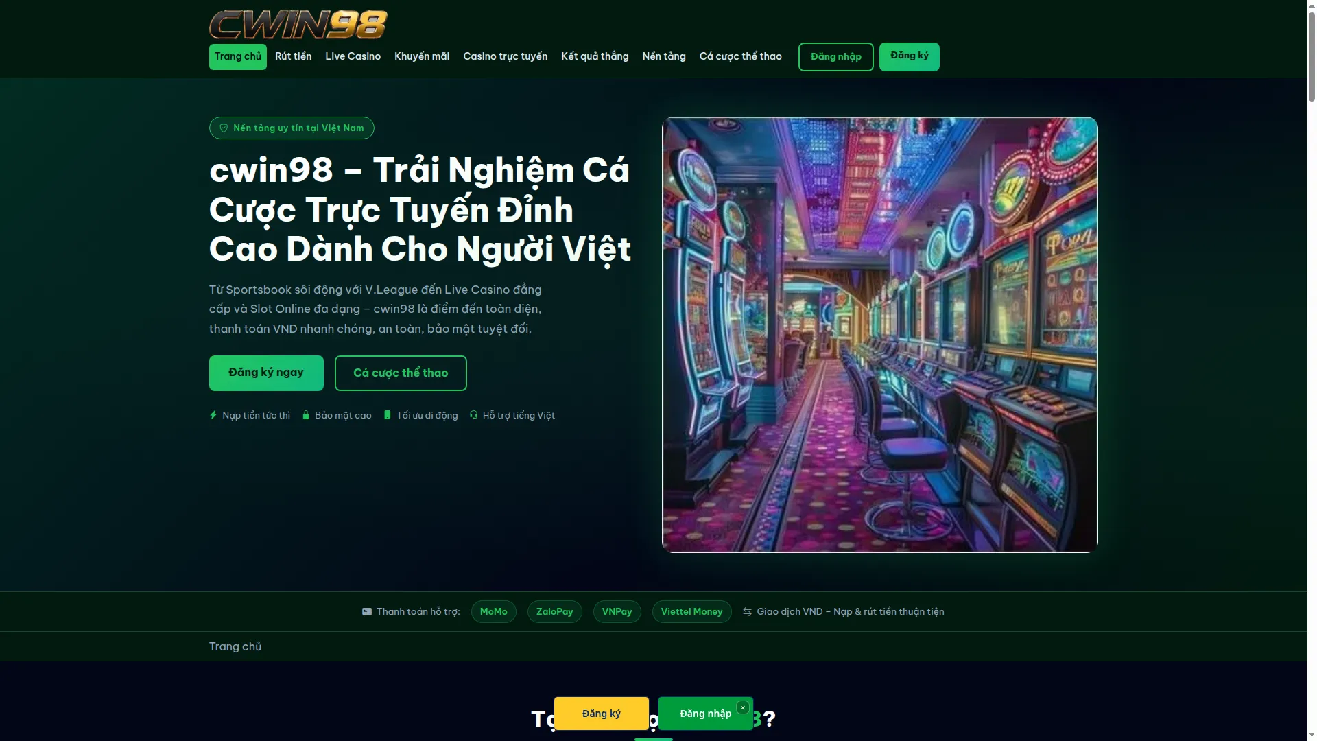 Cwin98.pro