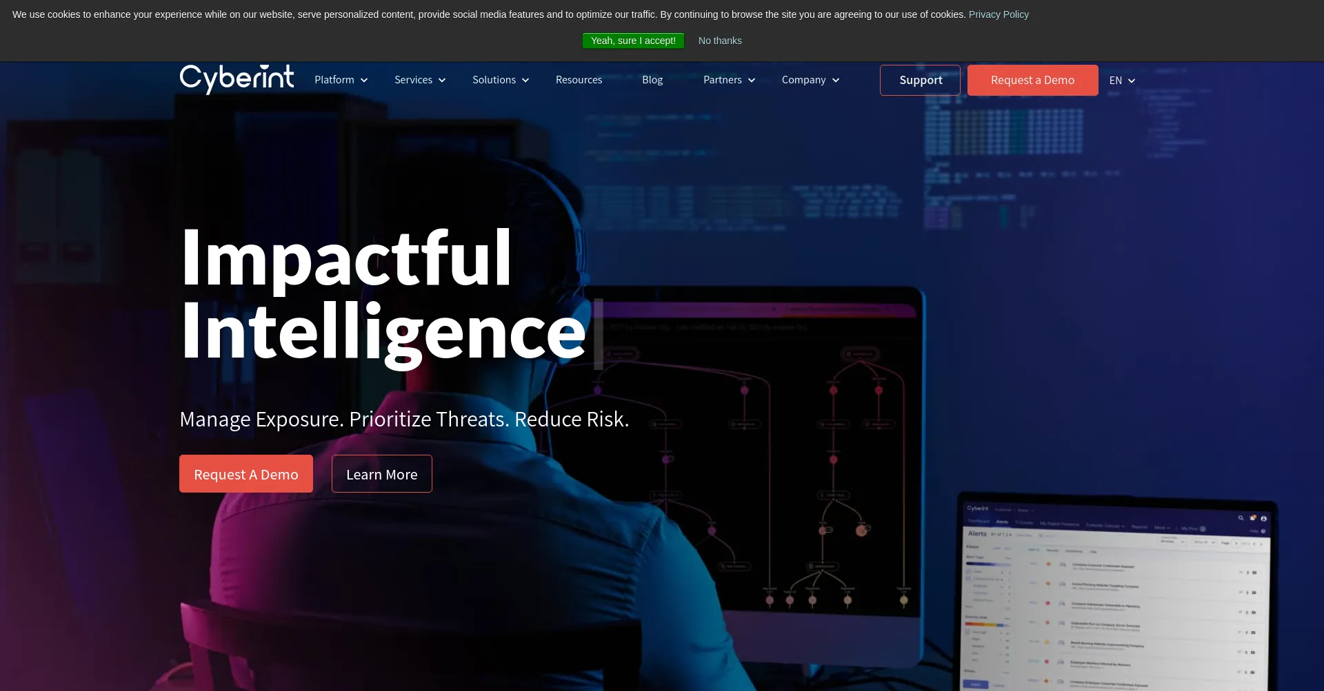 Website screenshot of Cyberint.com