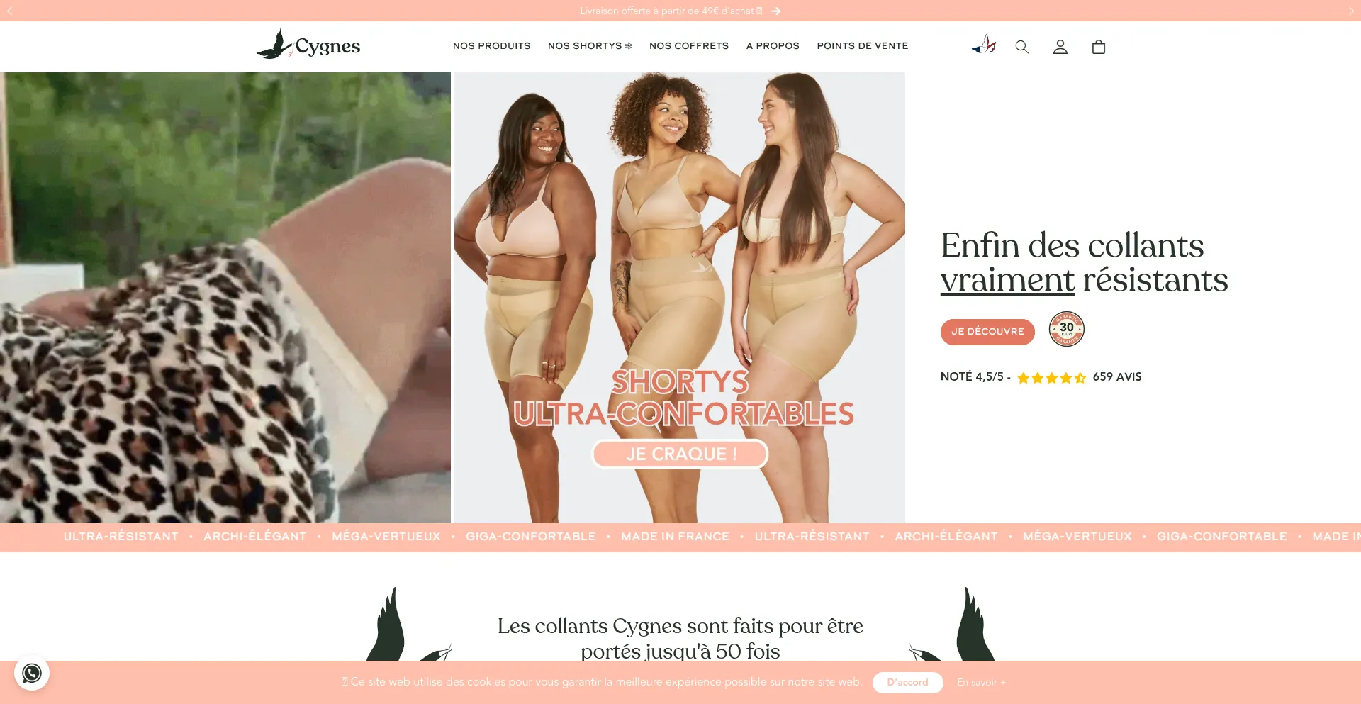Website screenshot of Cygnes.co