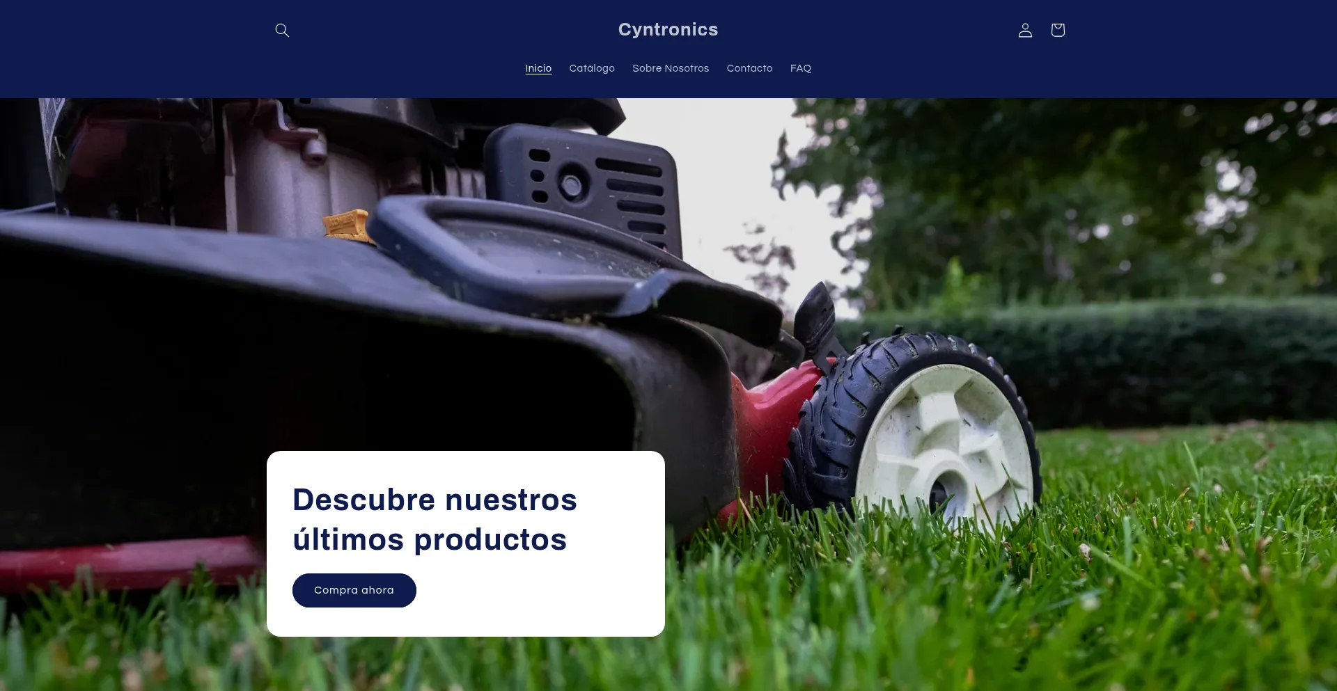 Website screenshot of Cyntronics.net