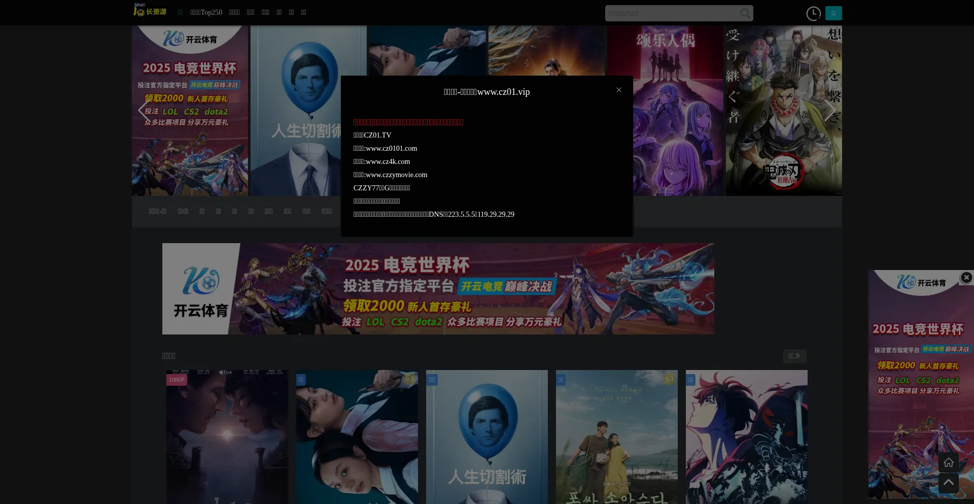 Cz233.com Screenshot