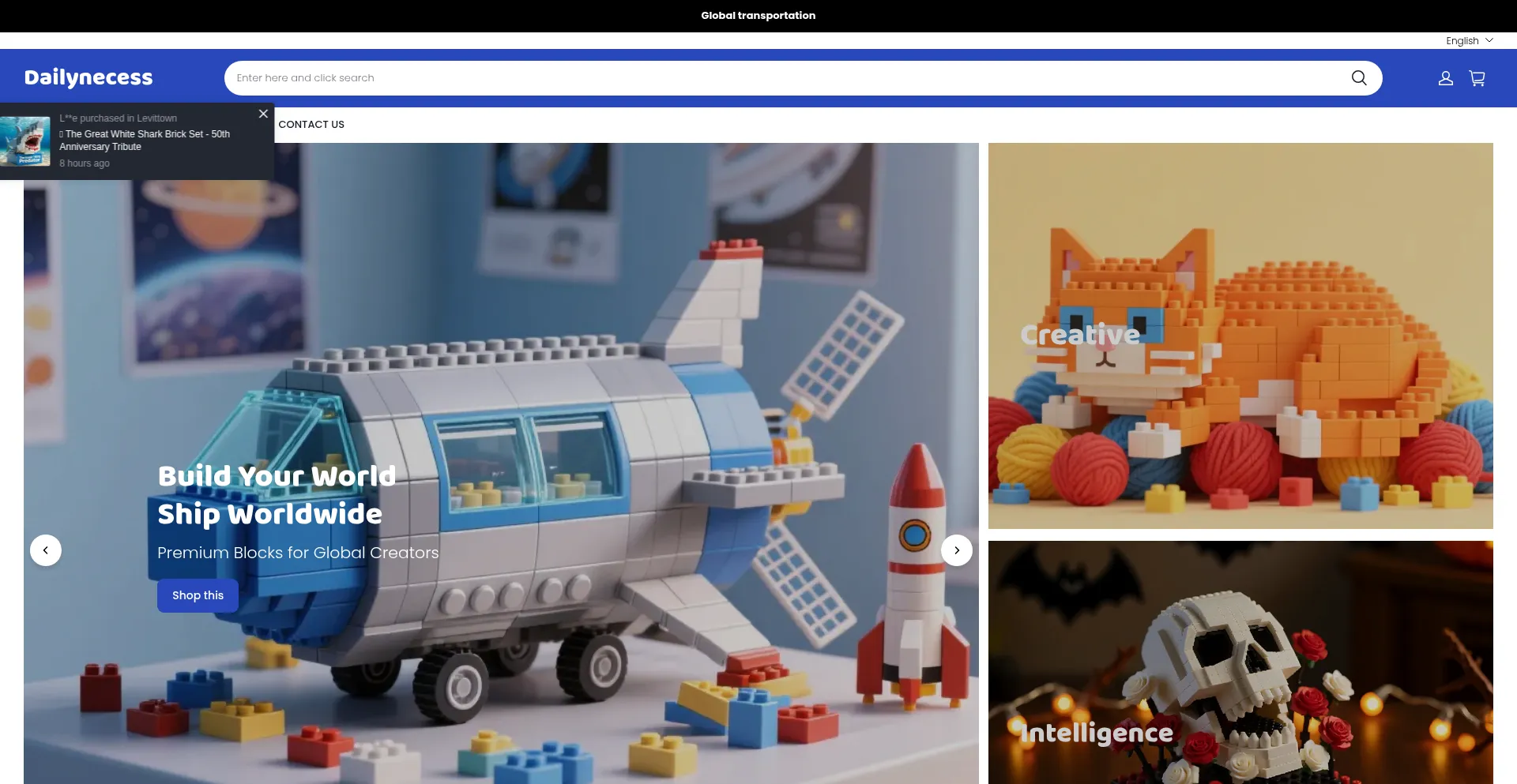 Website screenshot of Dailynecess.com