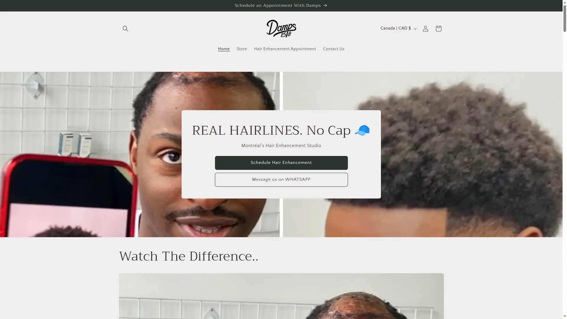 Damps.ca