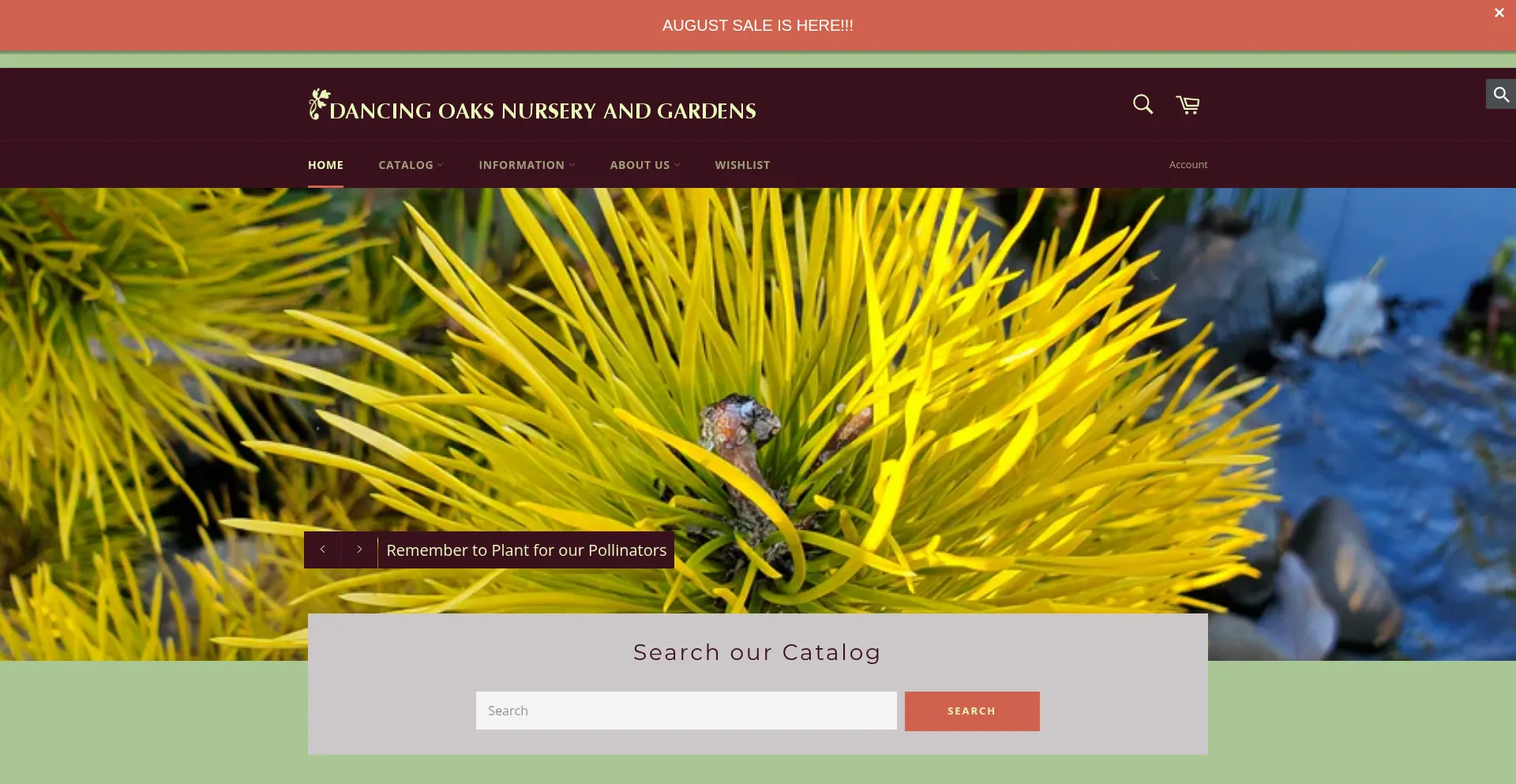 Website screenshot of Dancingoaks.com