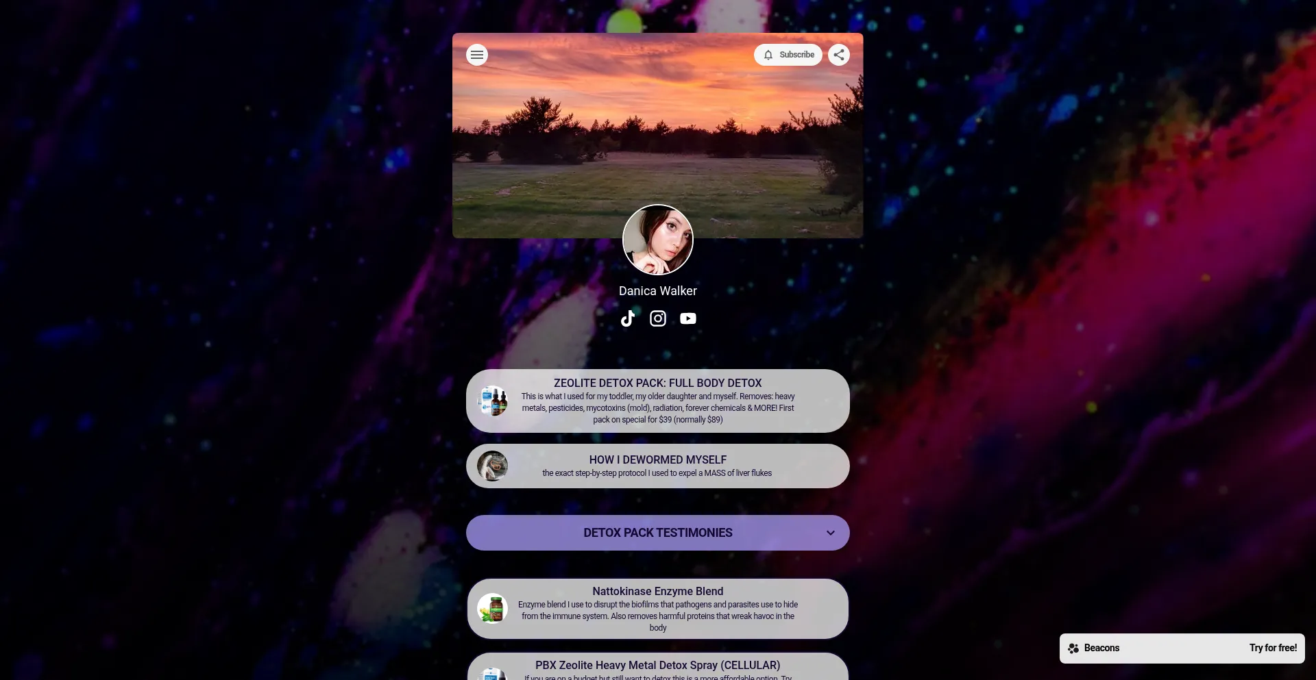 Website screenshot of Danicawalker.org