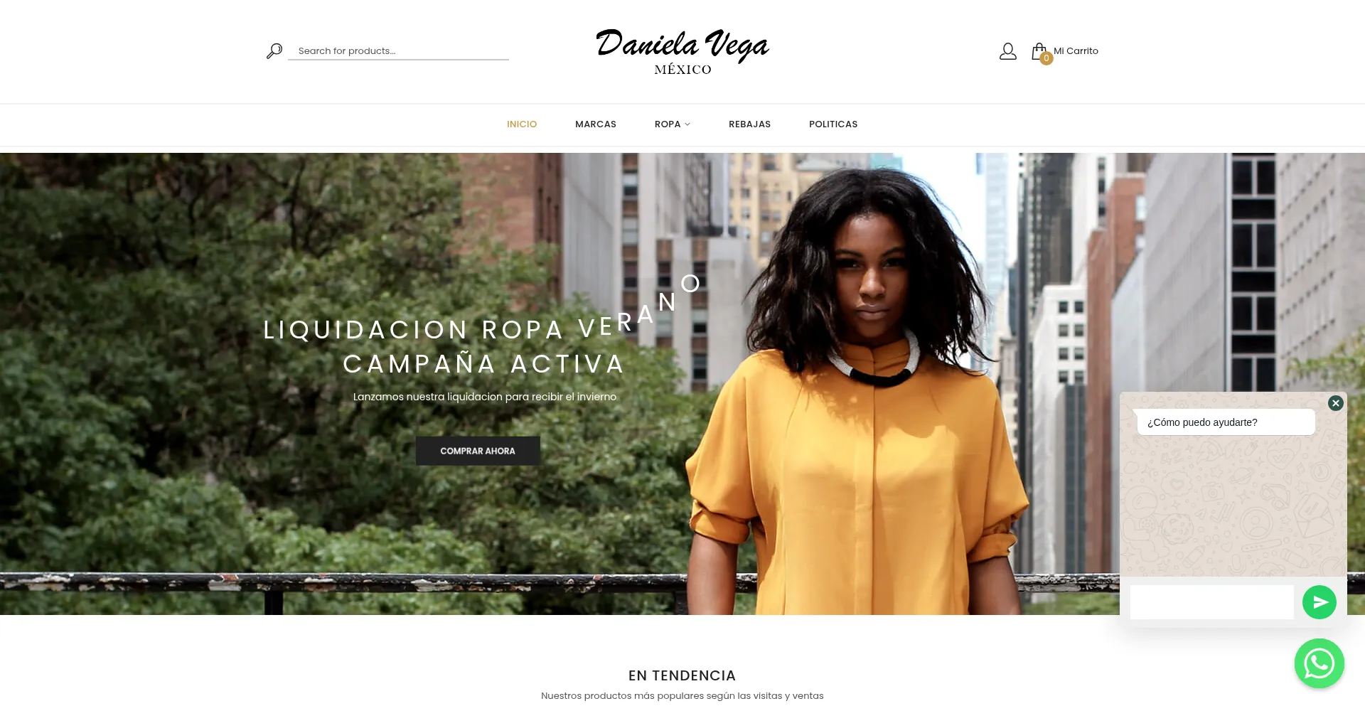 Danielavegamexico.com Screenshot