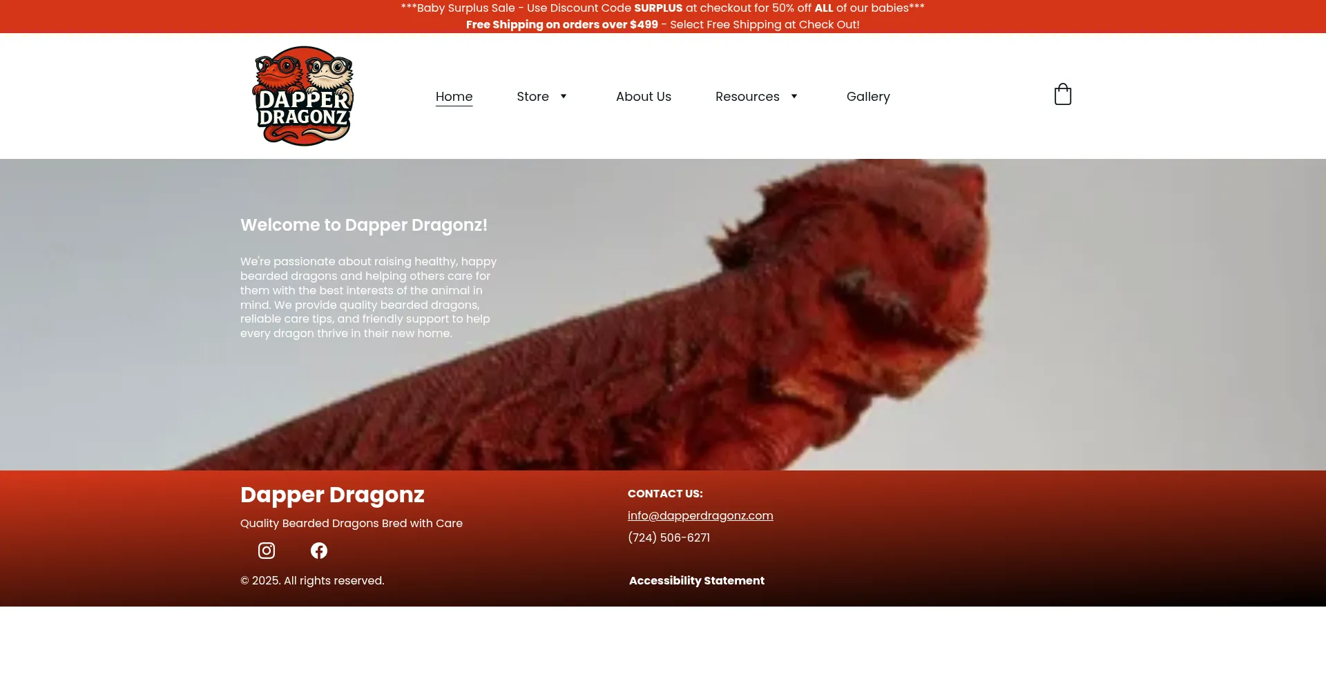 Website screenshot of Dapperdragonz.com