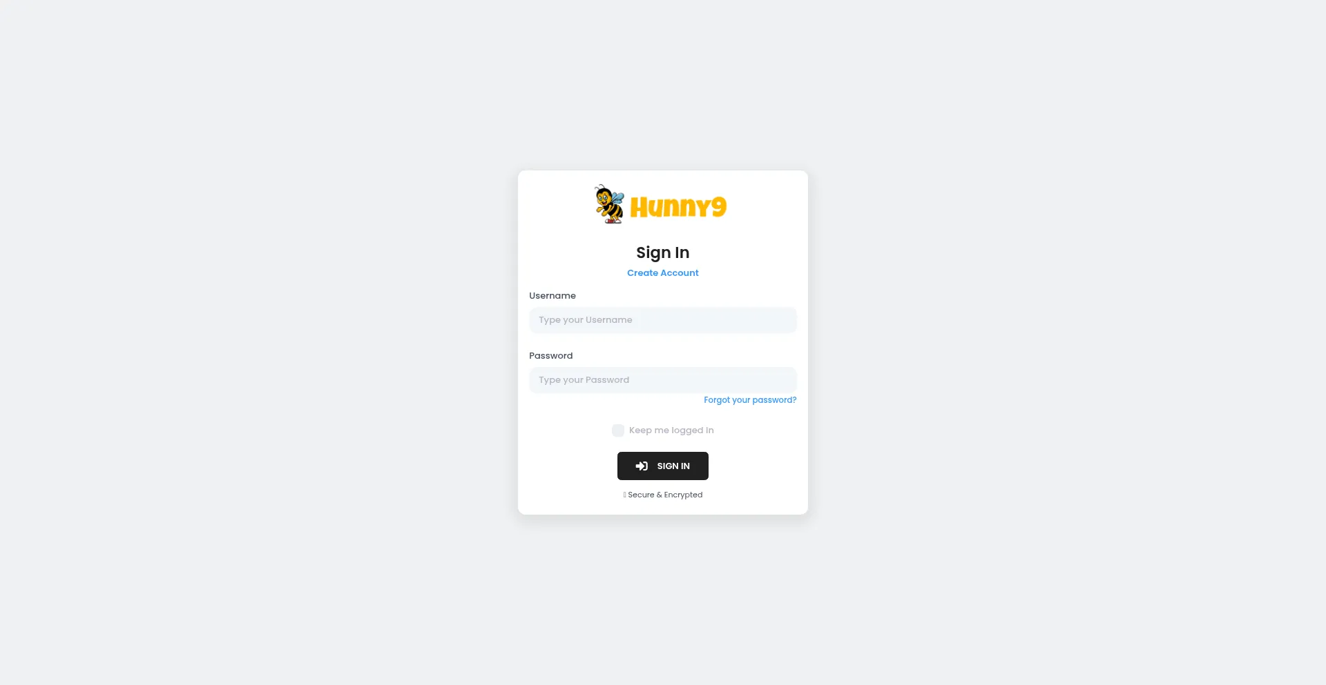 Website screenshot of Dash.hunny9.com