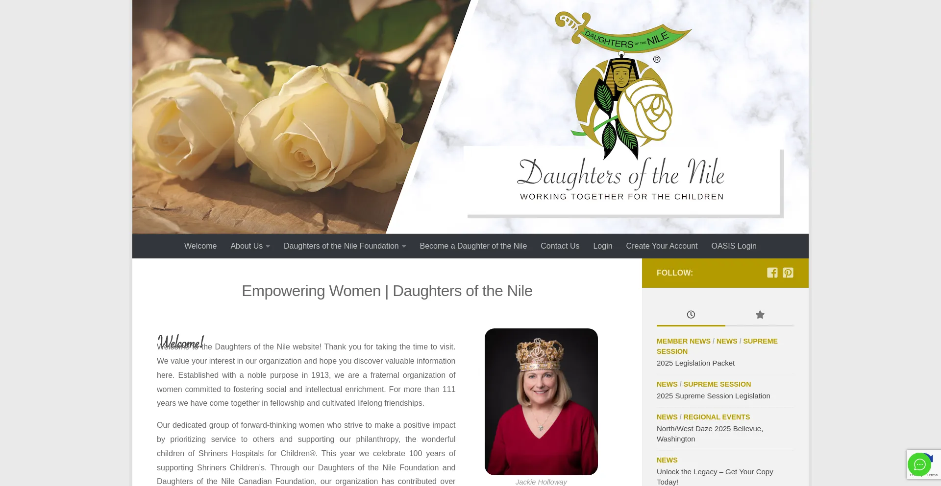 Website screenshot of Daughtersofthenile.org