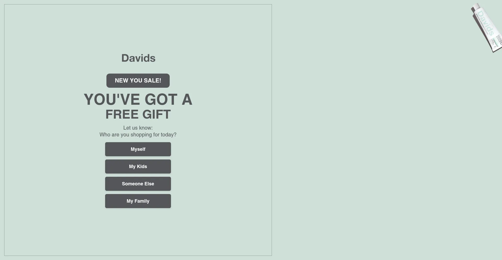 Website screenshot of Davids-usa.com