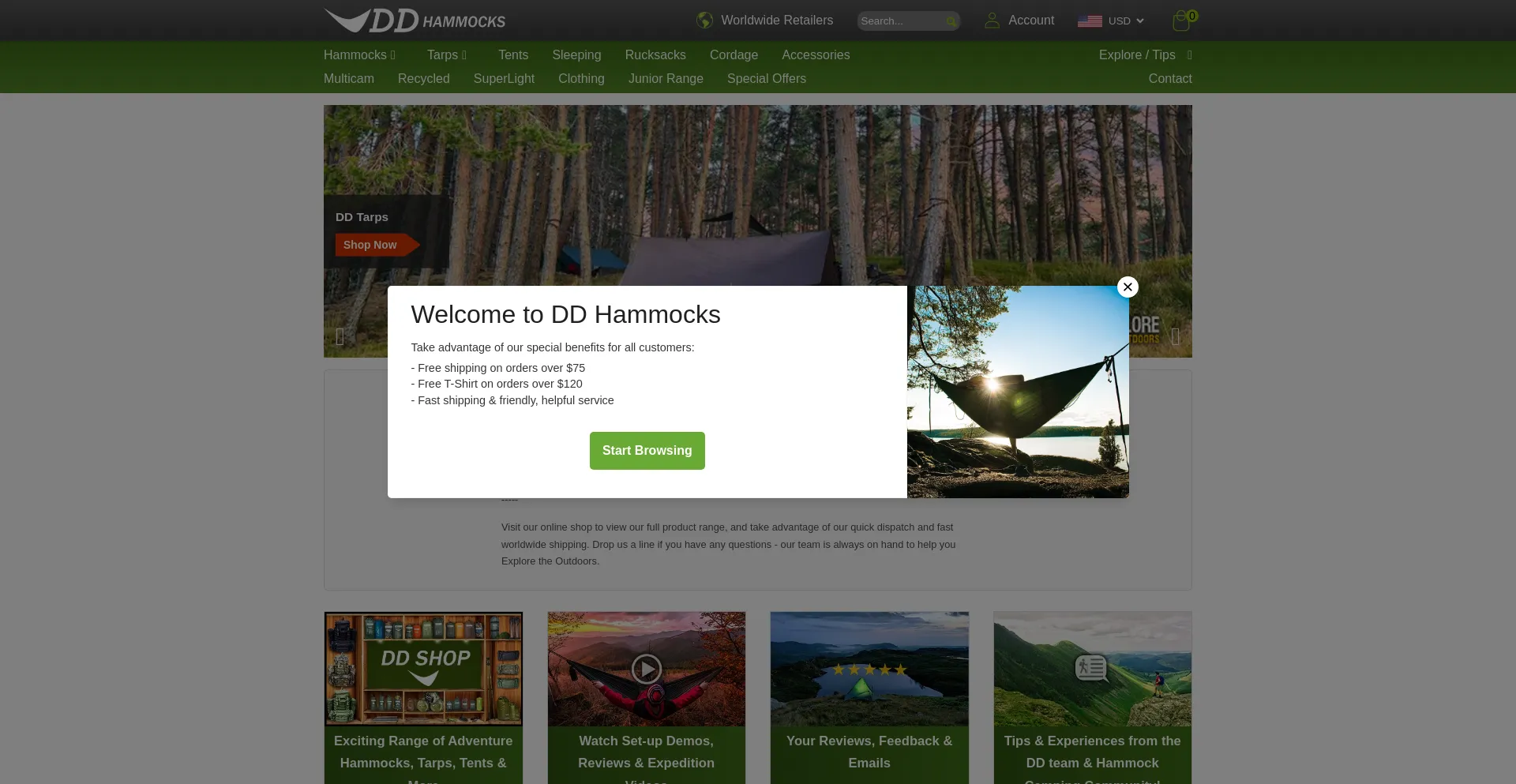 Website screenshot of Ddhammocks.com