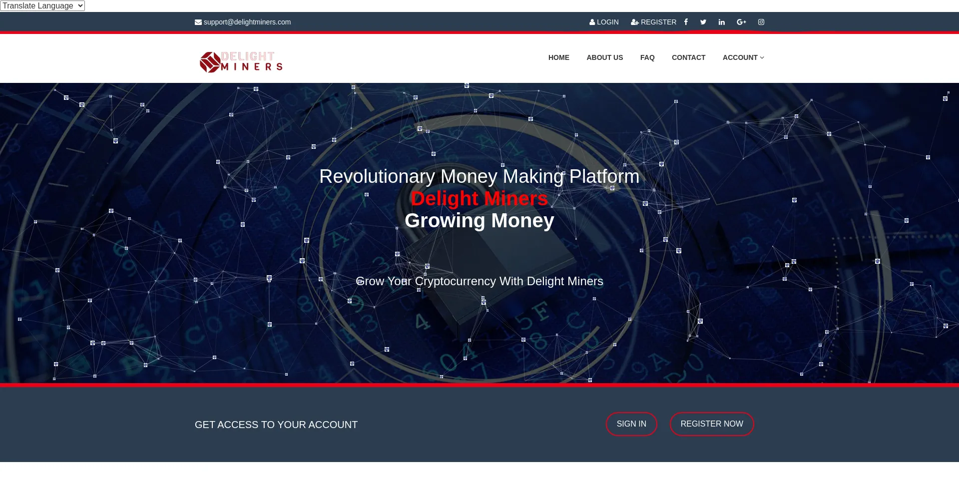 Website screenshot of Delightminers.com