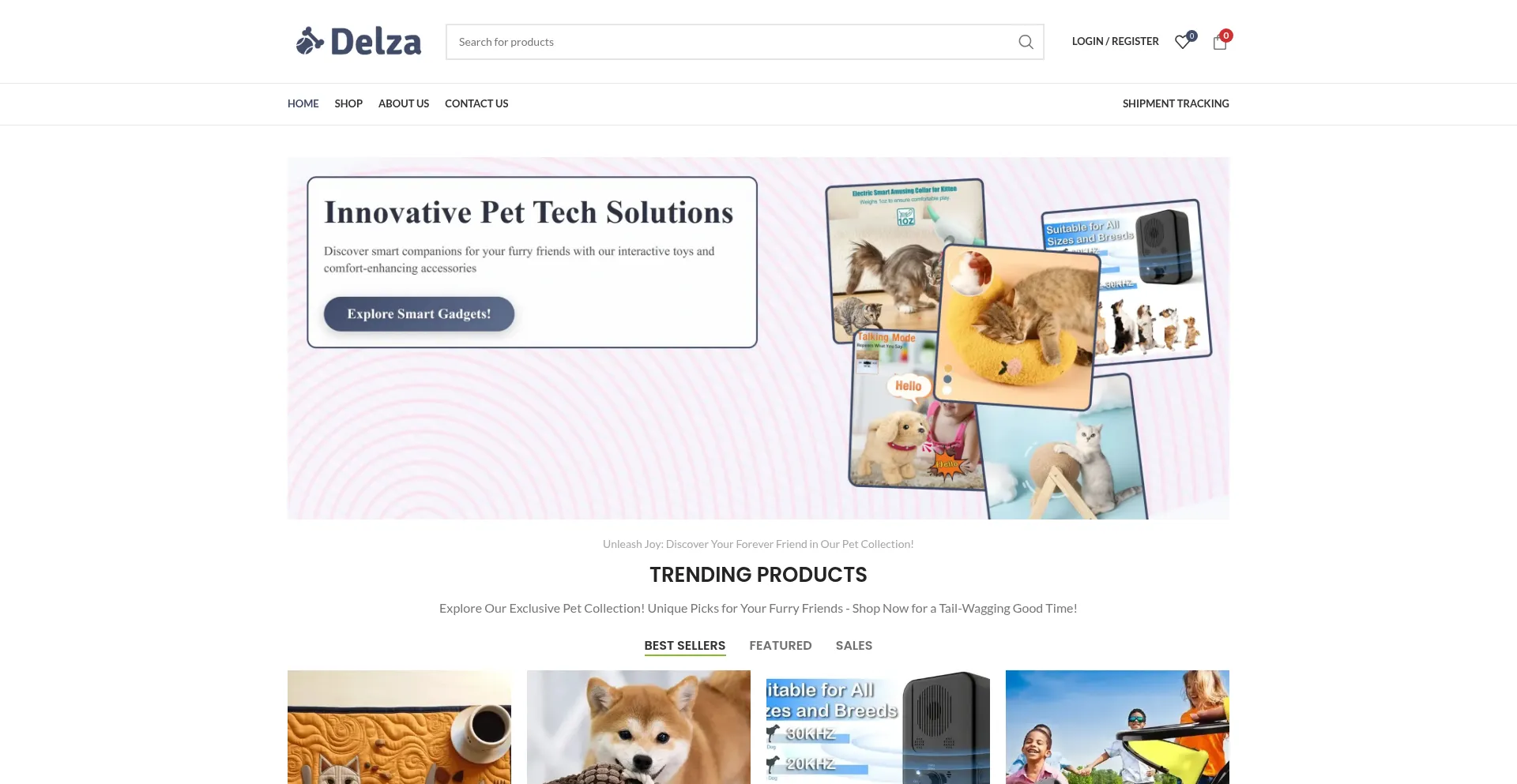 Website screenshot of Delza.co