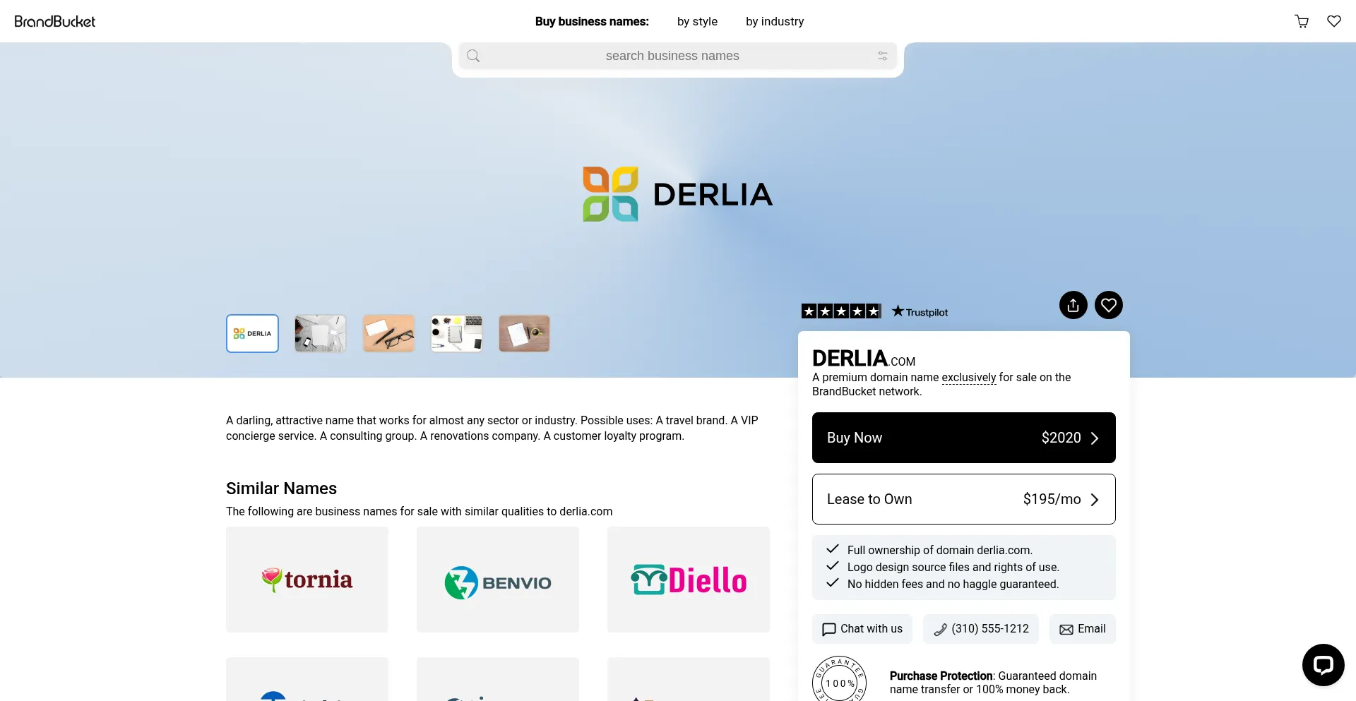 Website screenshot of Derlia.com