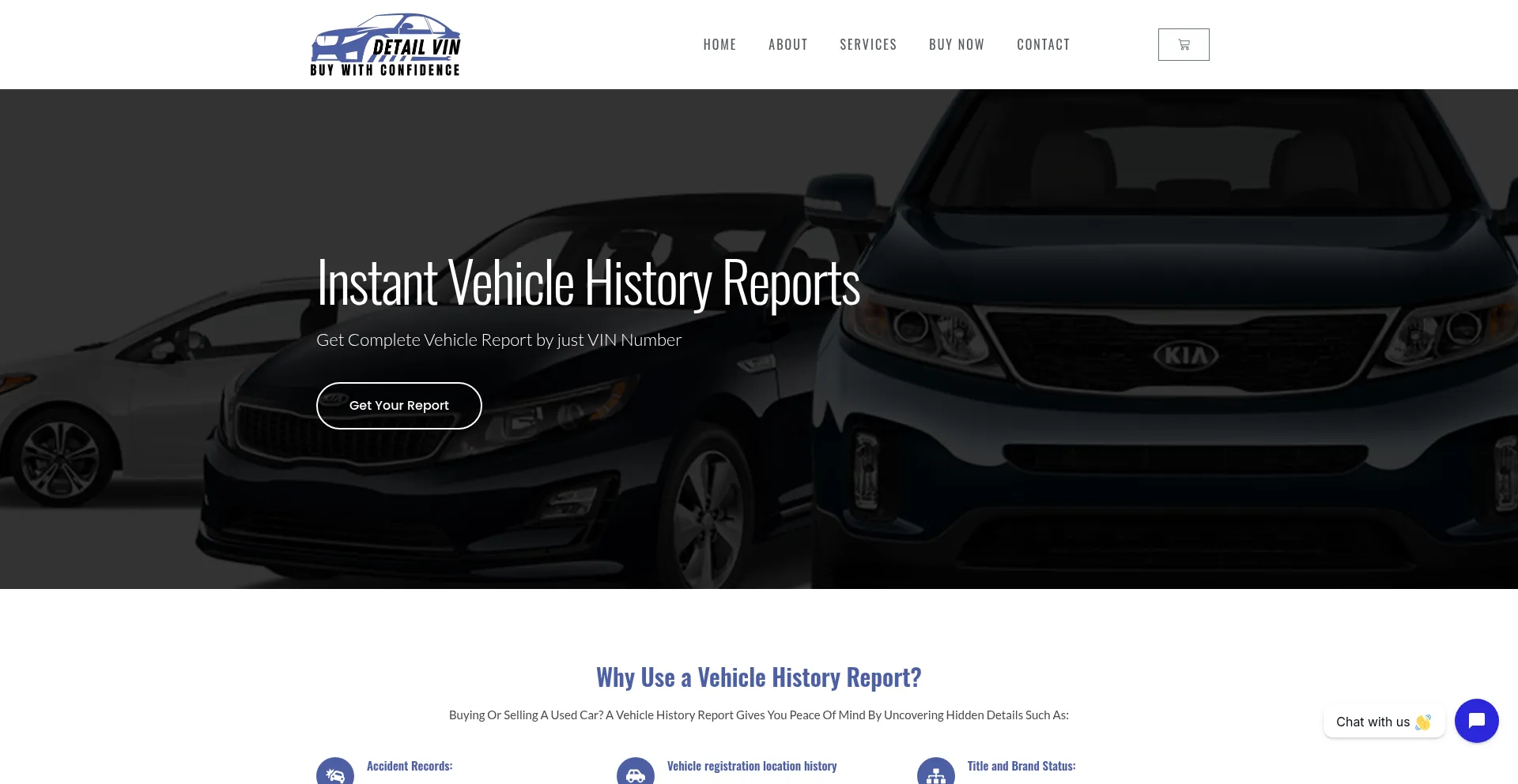 Website screenshot of Detailvin.com