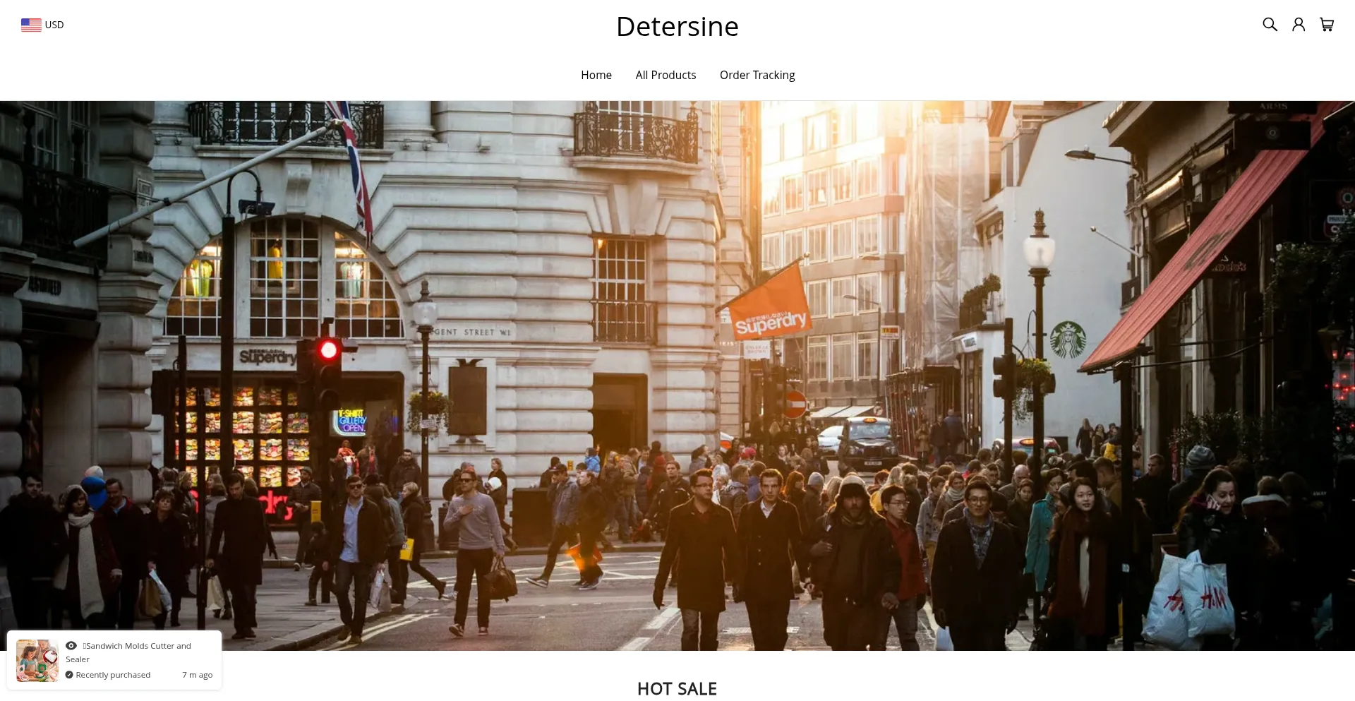 Detersine.com Screenshot