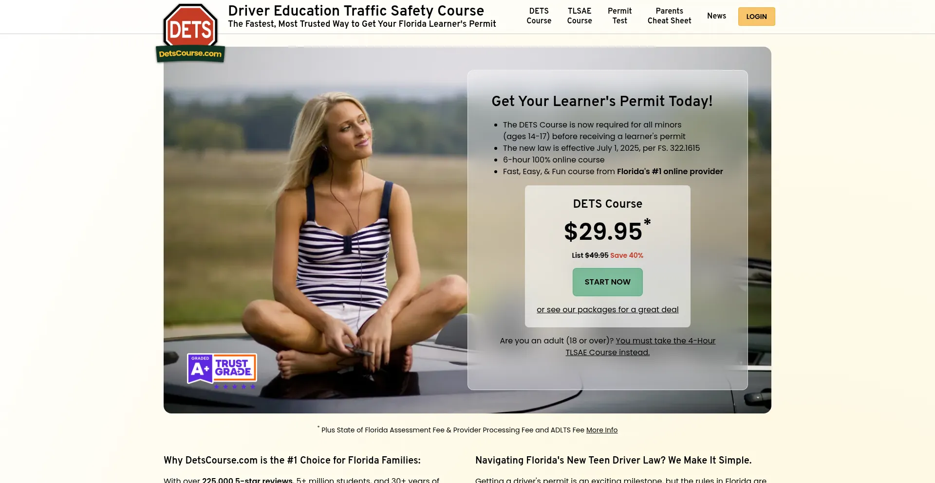 Website screenshot of Detscourse.com