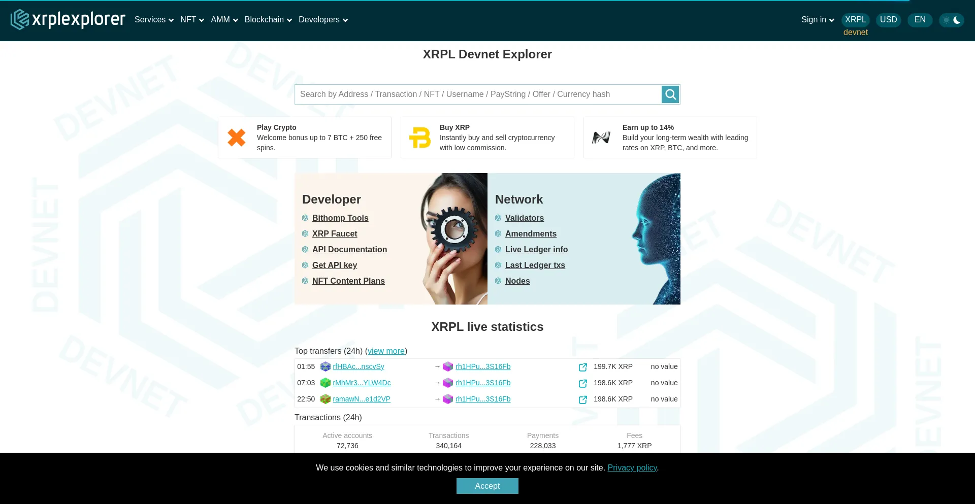 Website screenshot of Dev.xrplexplorer.com