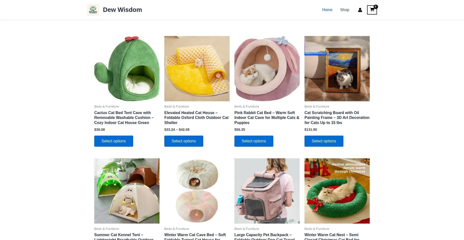 Is Dewwisdom.shop Safe?