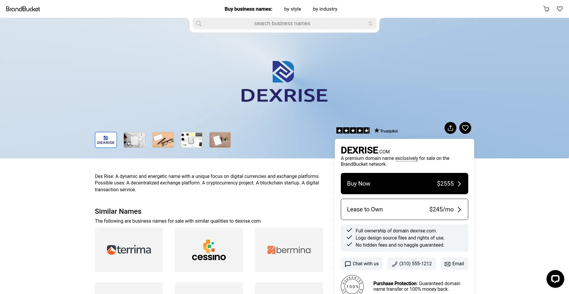 Website screenshot of Dexrise.com