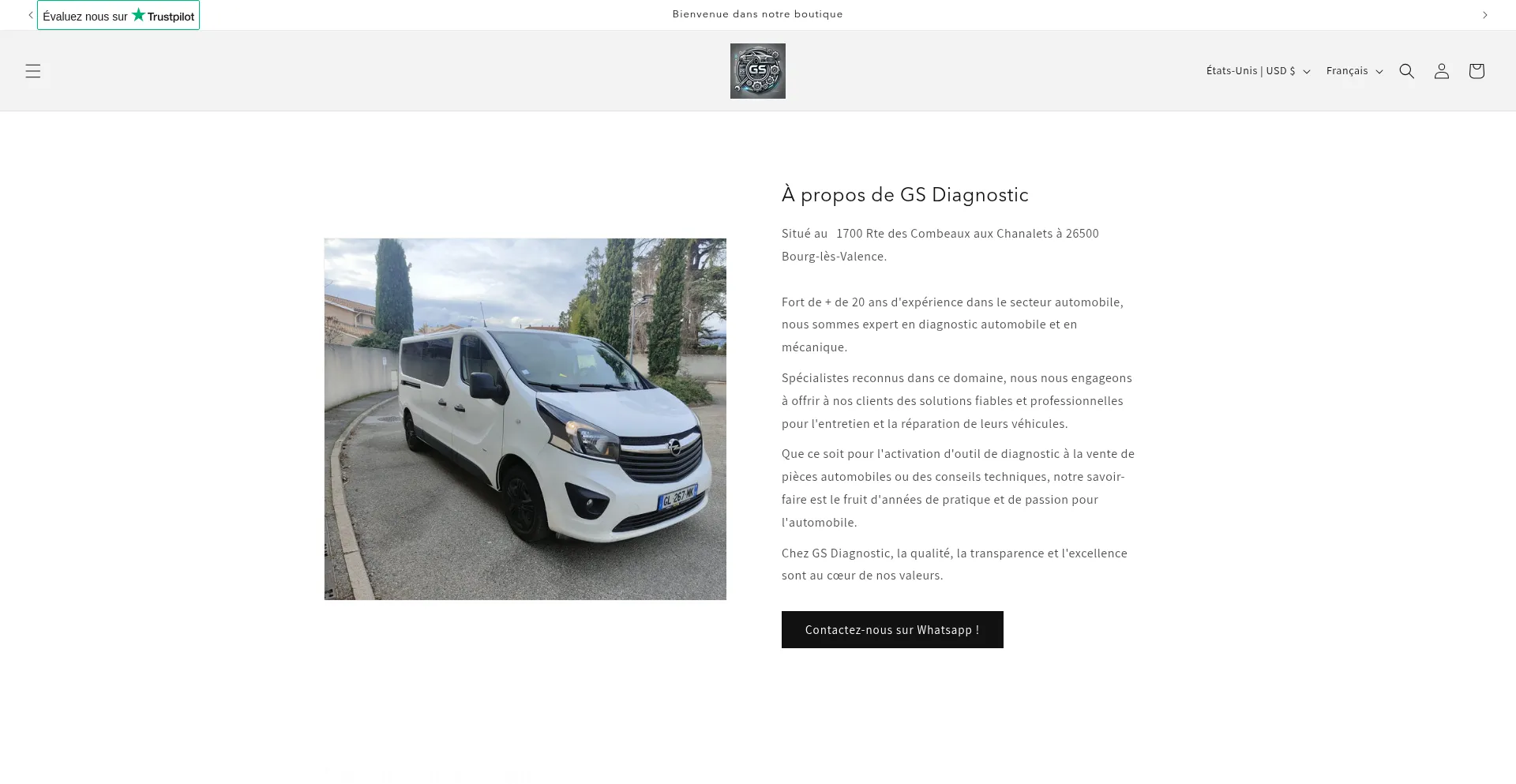 Website screenshot of Diagzone.online