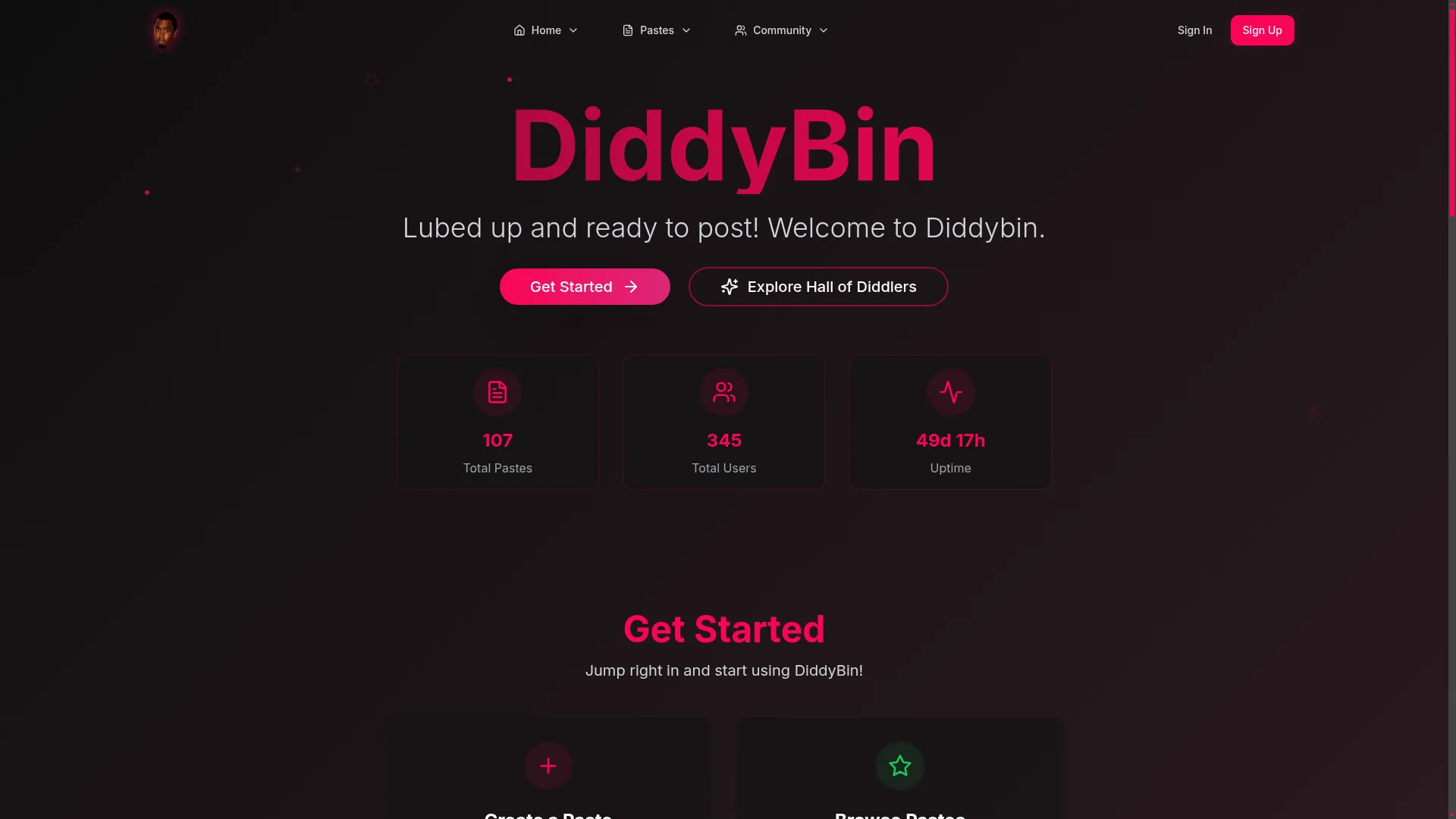 Diddybin.net