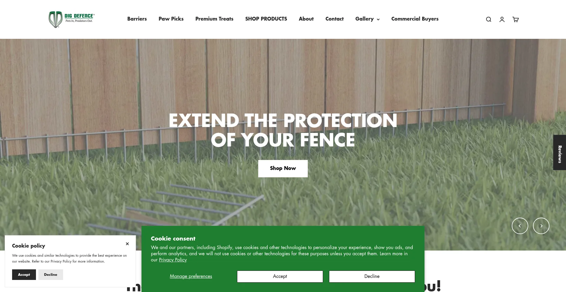 Website screenshot of Digdefence.com
