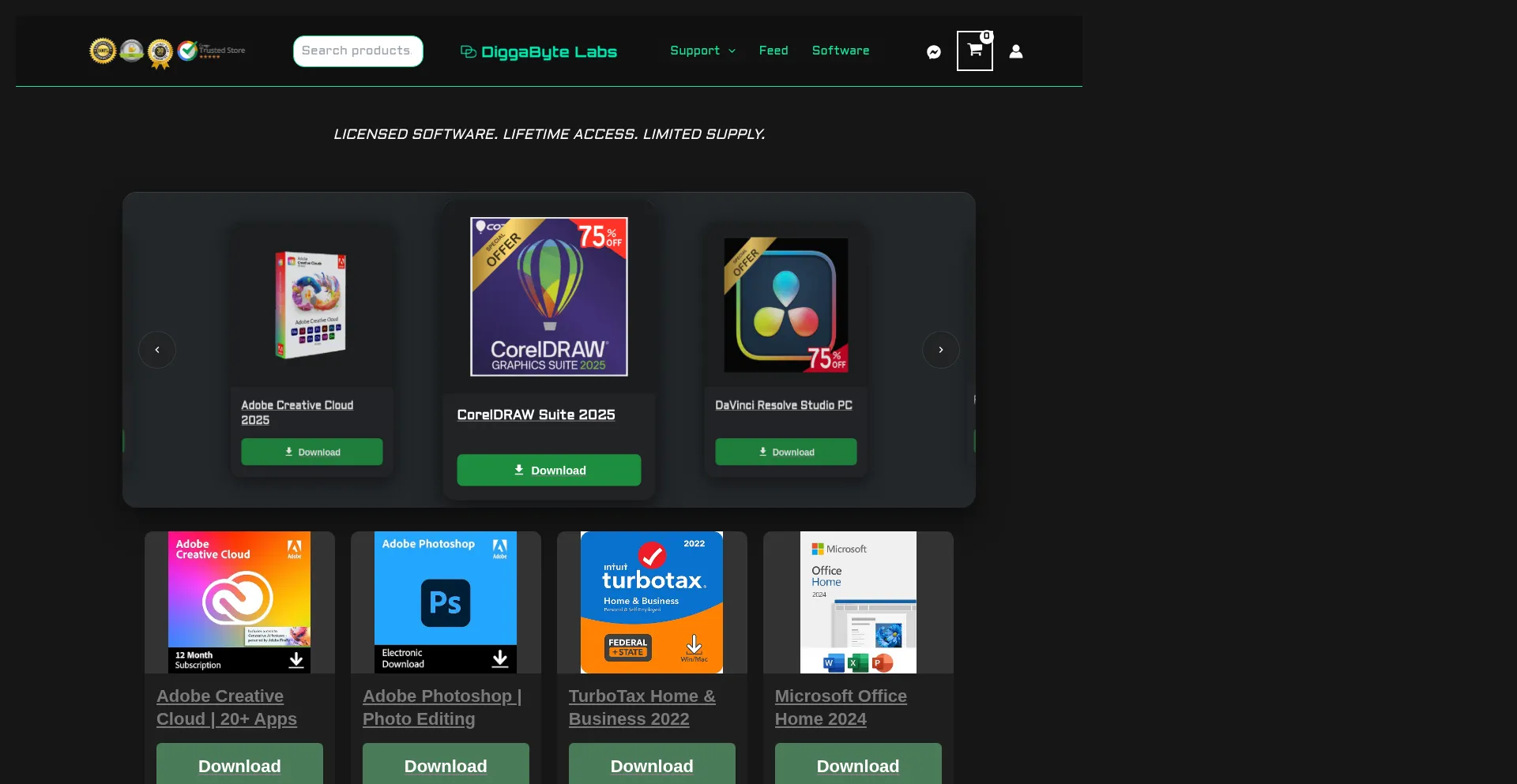 Website screenshot of Diggabyte.com