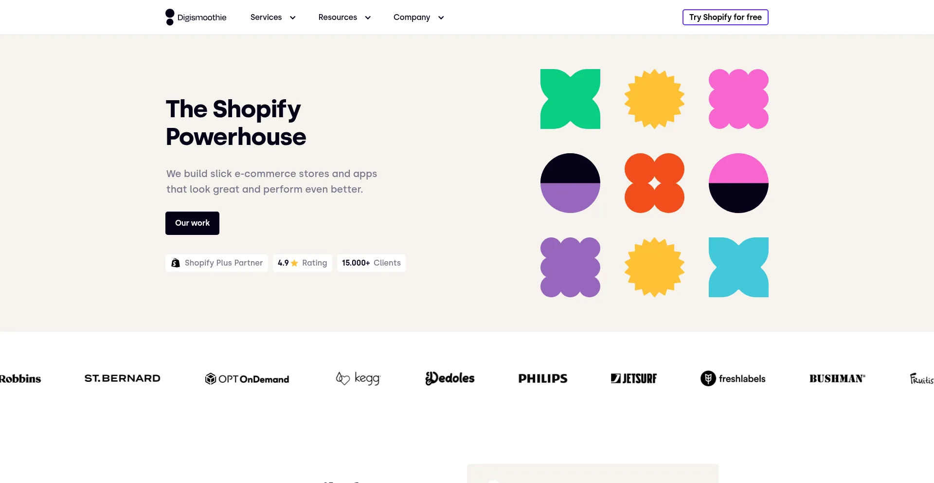 Website screenshot of Digismoothie.com