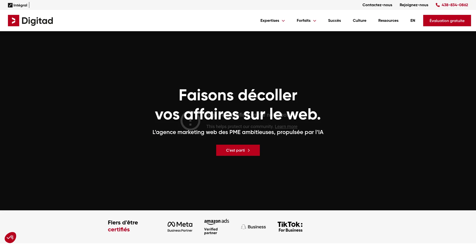 Website screenshot of Digitad.ca