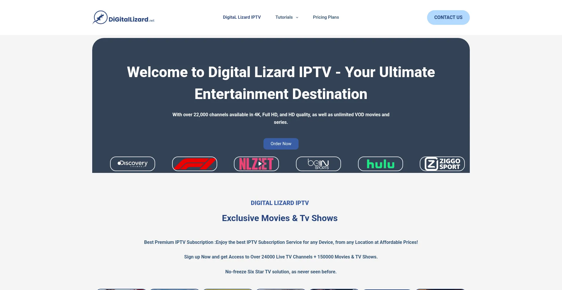 Website screenshot of Digitallizardiptv.net