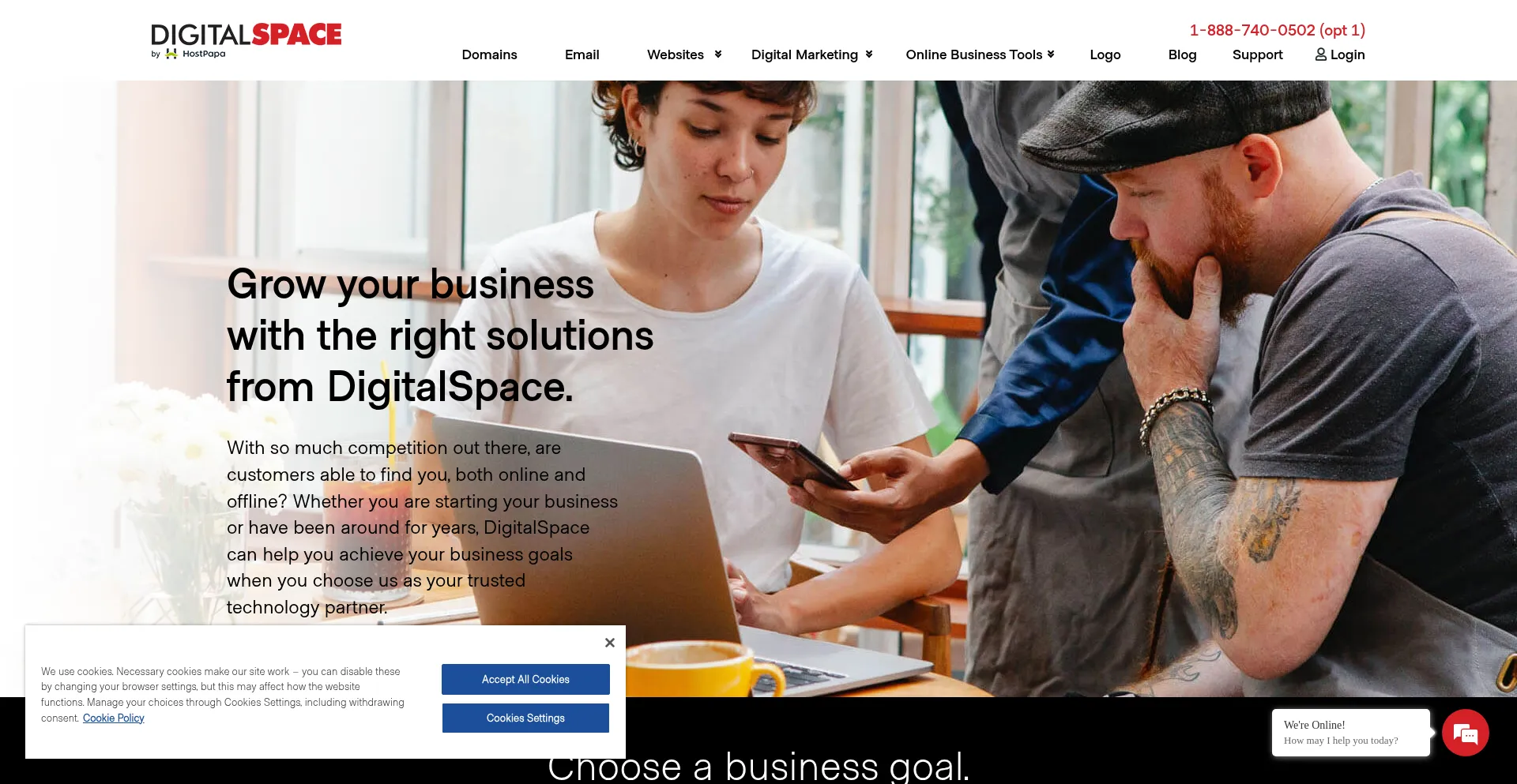 Website screenshot of Digitalspace.net