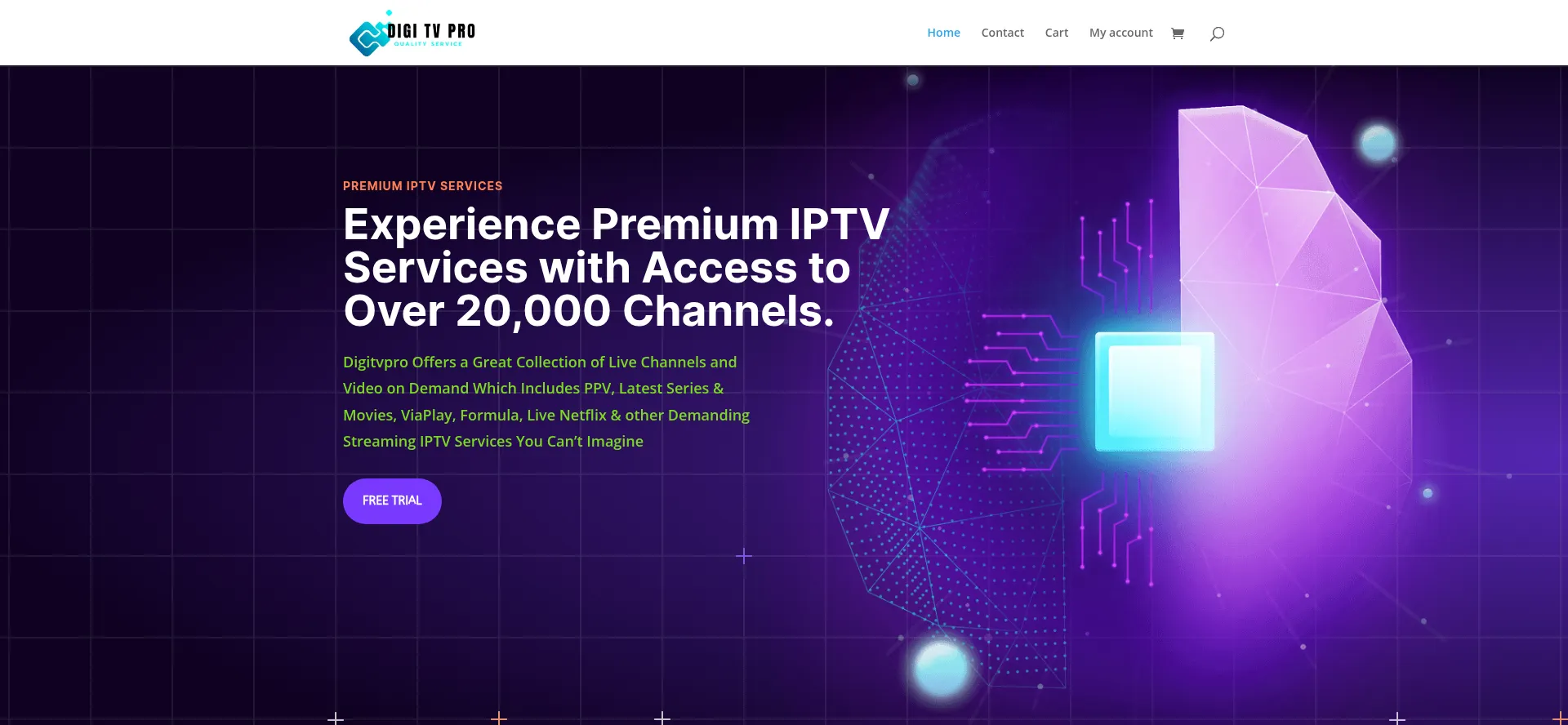 Website screenshot of Digitvpro.com