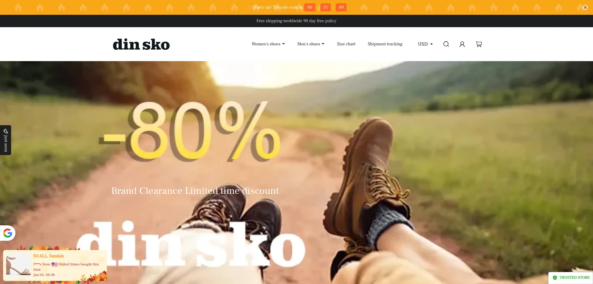 Website screenshot of Dinskonline.top