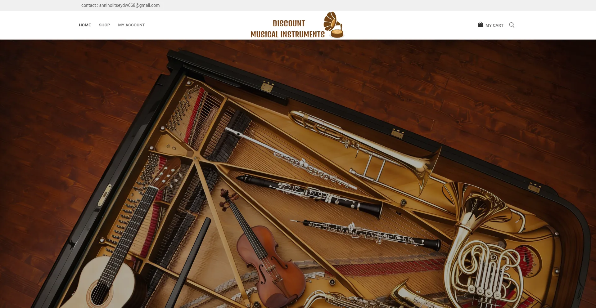 Discountmusicalinstruments.com