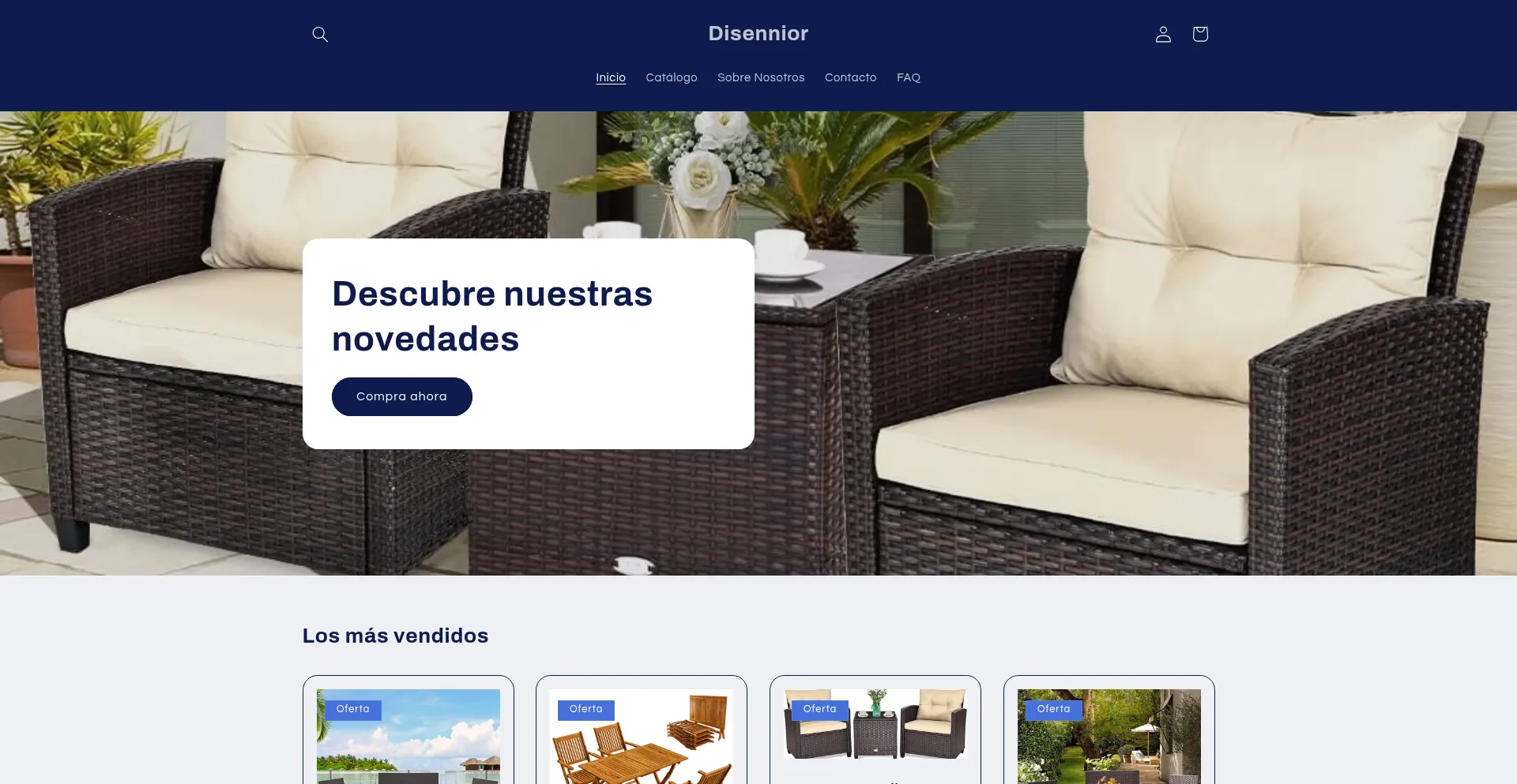 Website screenshot of Disennior.com