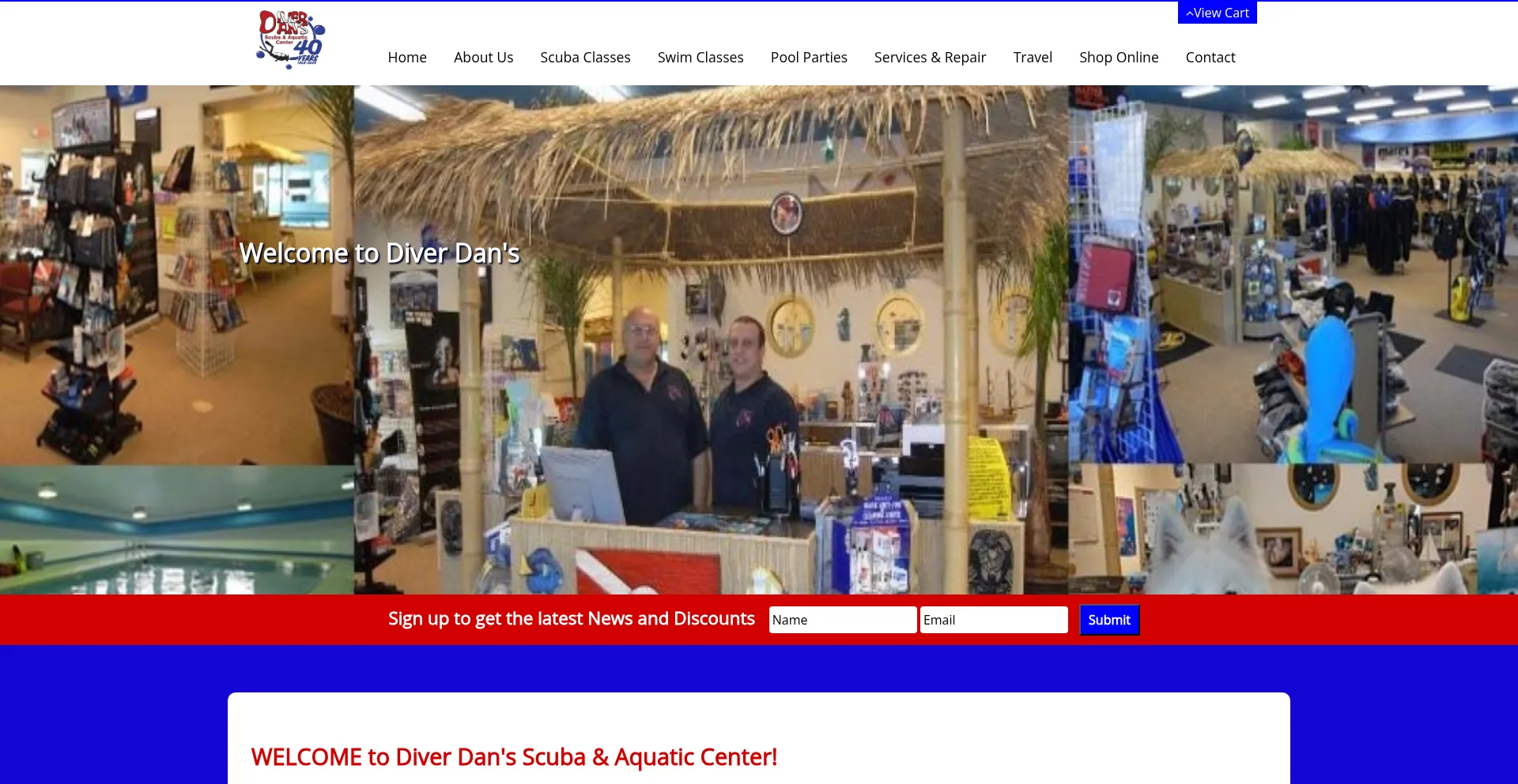 Website screenshot of Diverdan.com