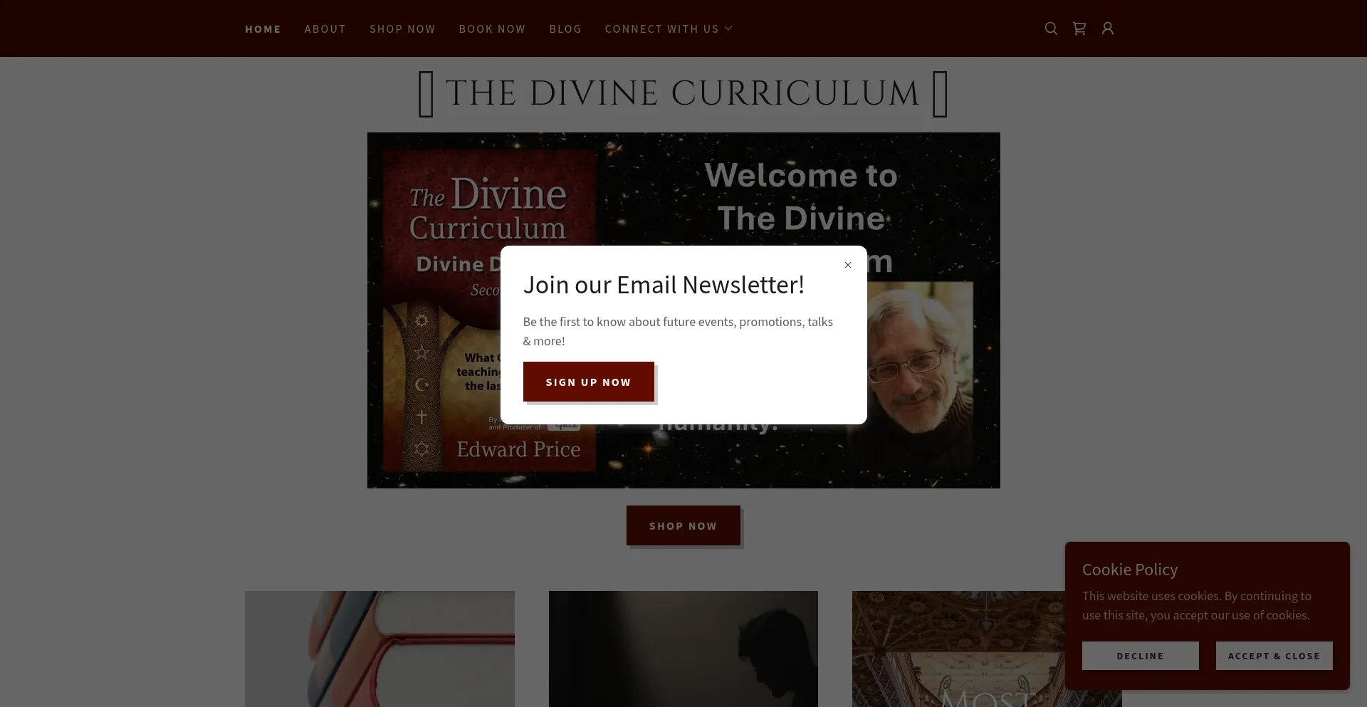 Website screenshot of Divinecurriculum.com