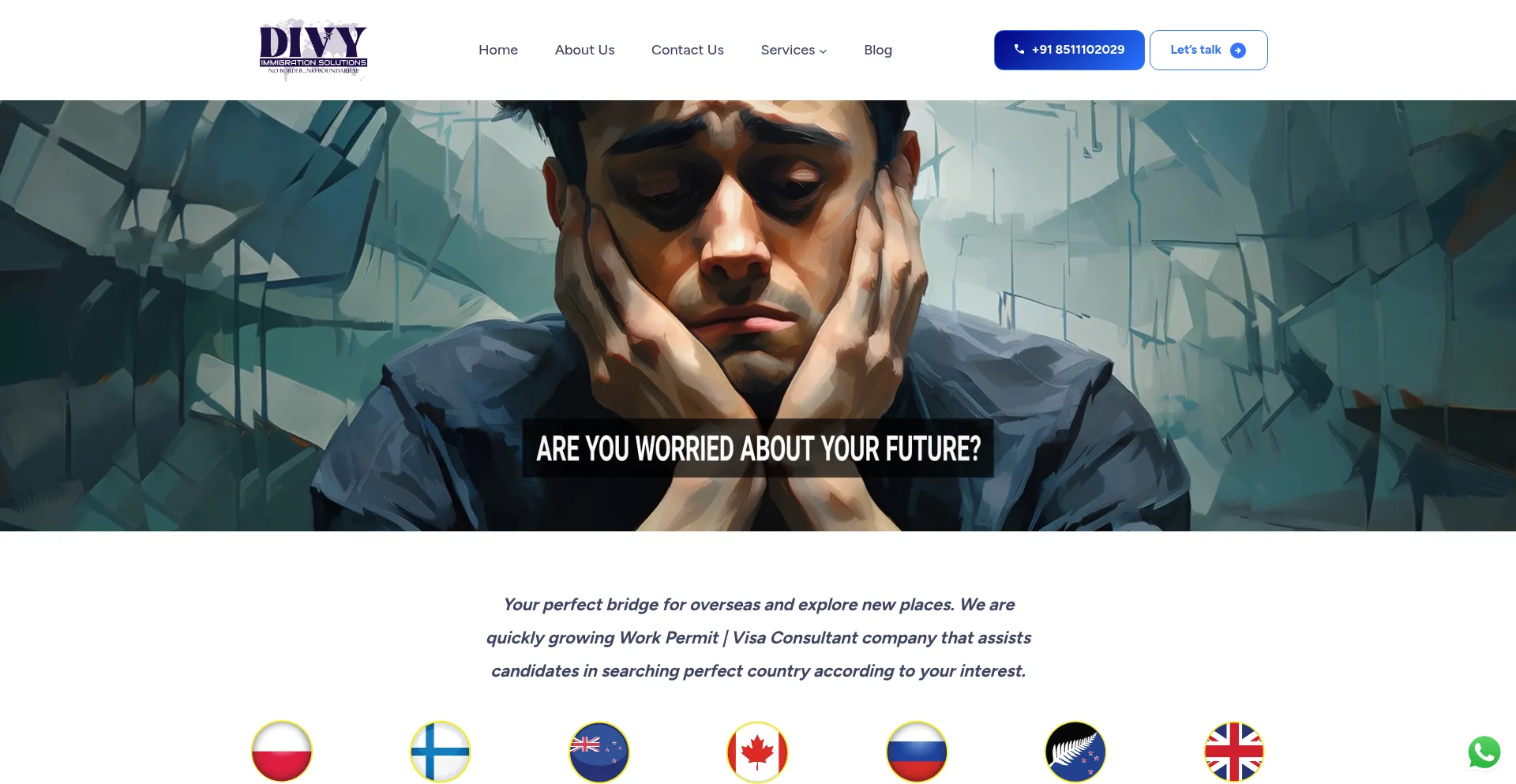 Divyimmigrationsolutions.com Screenshot