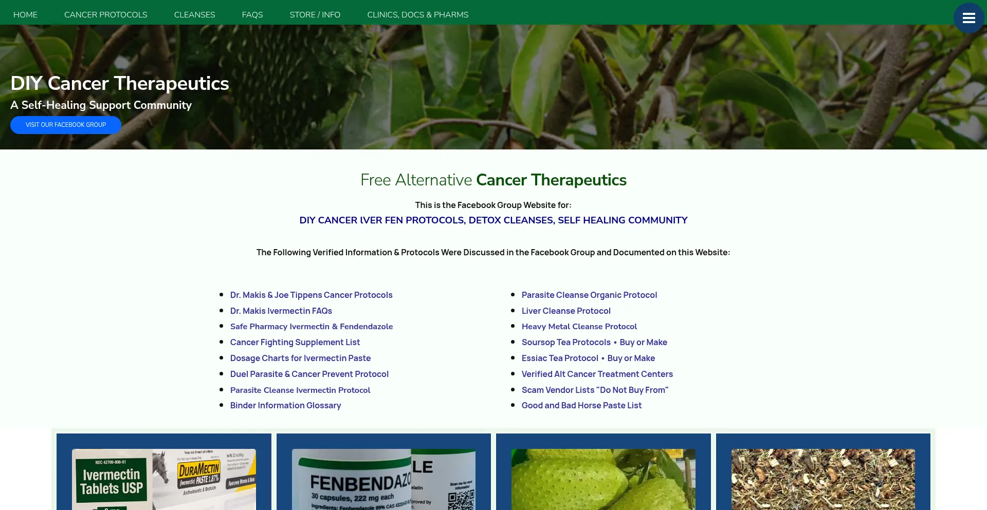 Website screenshot of Diycancertherapeutics.com