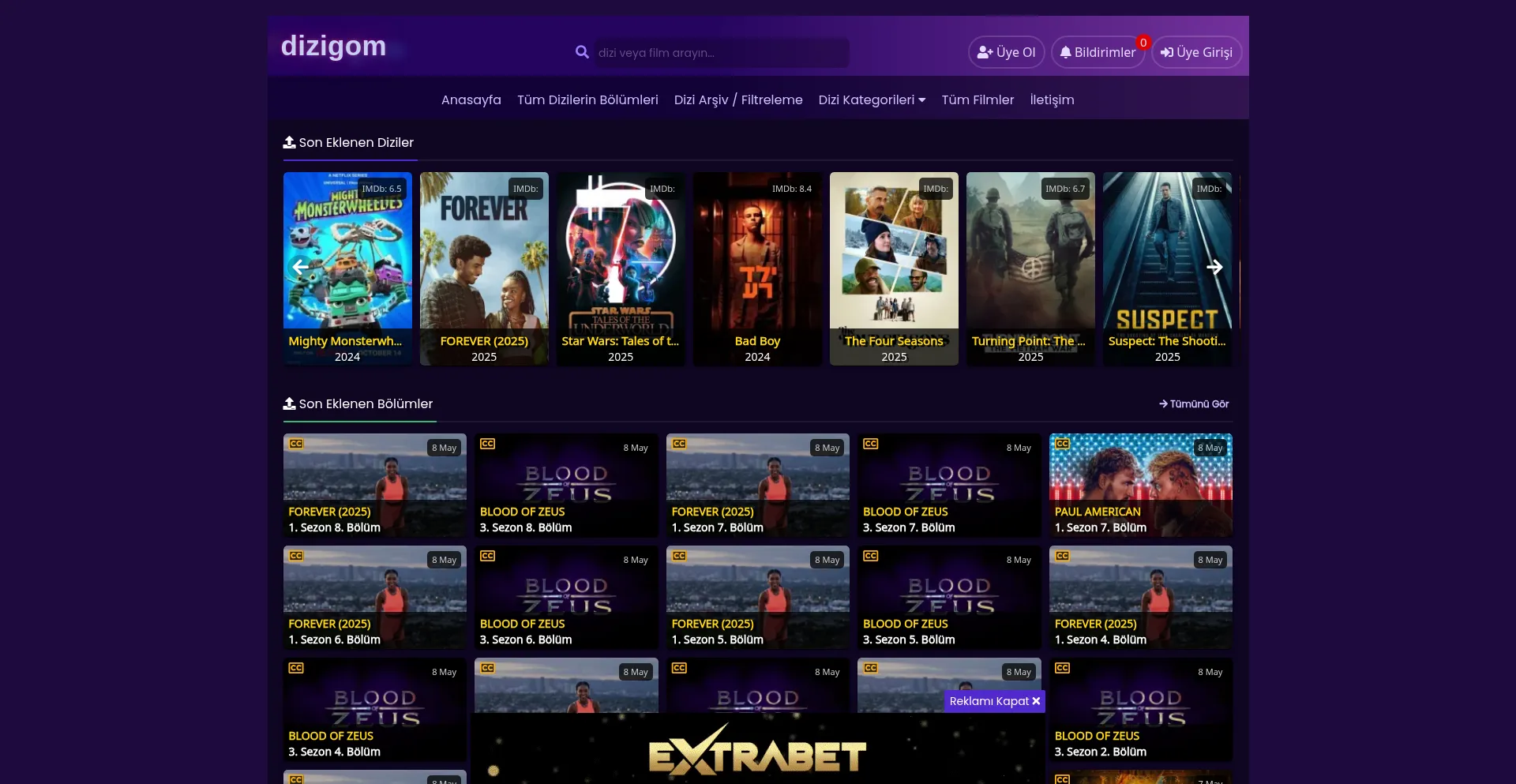 Website screenshot of Dizigom1.co