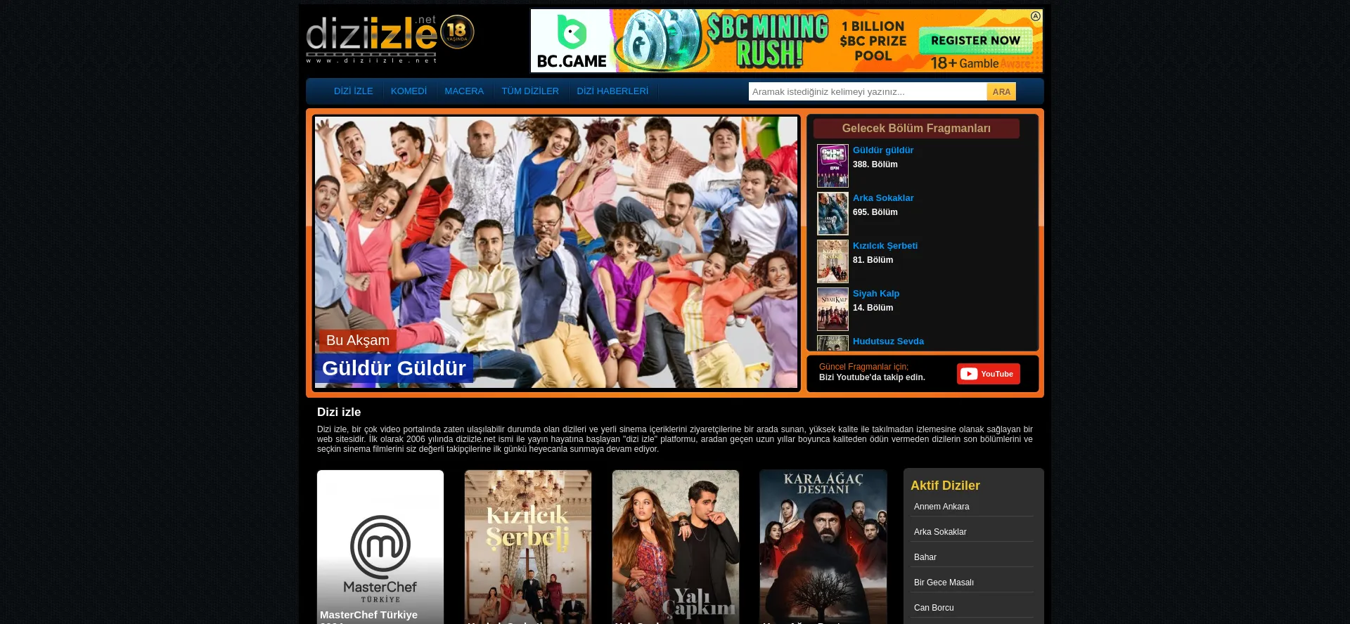 Website screenshot of Diziizle.day