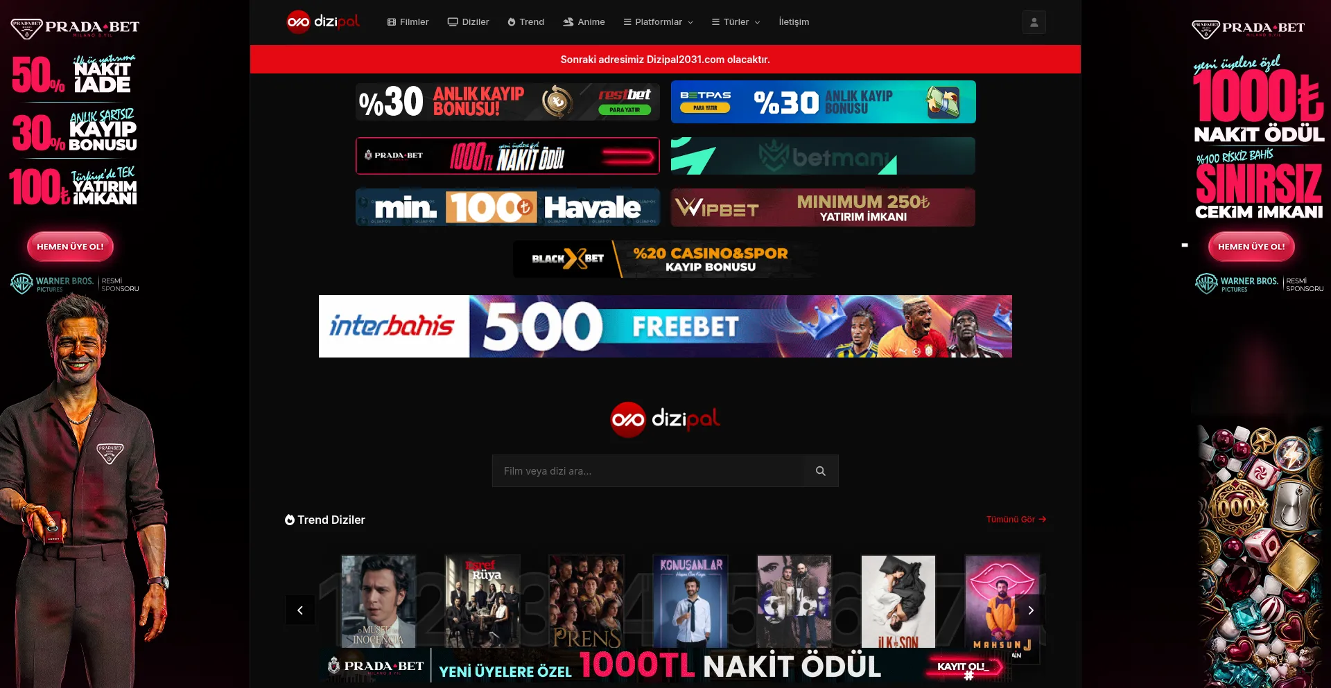 Dizipal2030.com