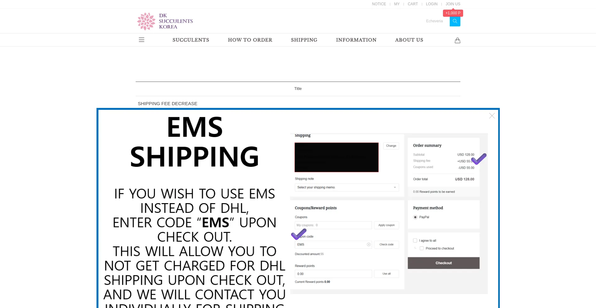 Website screenshot of Dksucculentskorea.com