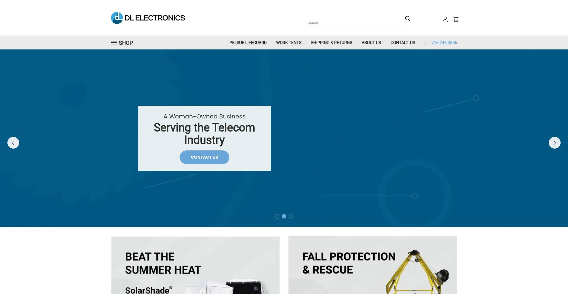 Dlelectronicsinc.com
