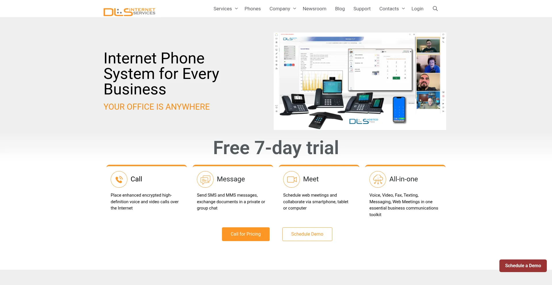Website screenshot of Dls.net